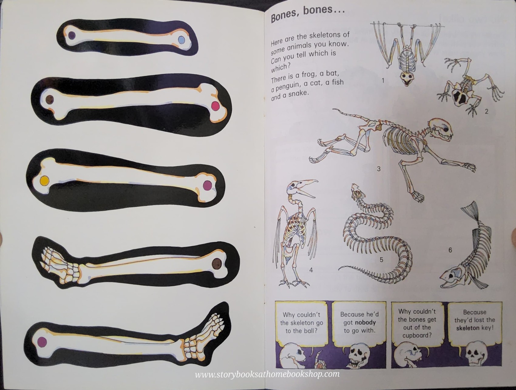 KNOWLEDGE ACTIVITIES BOOK** ð
MORE FUN WITH SCIENCE