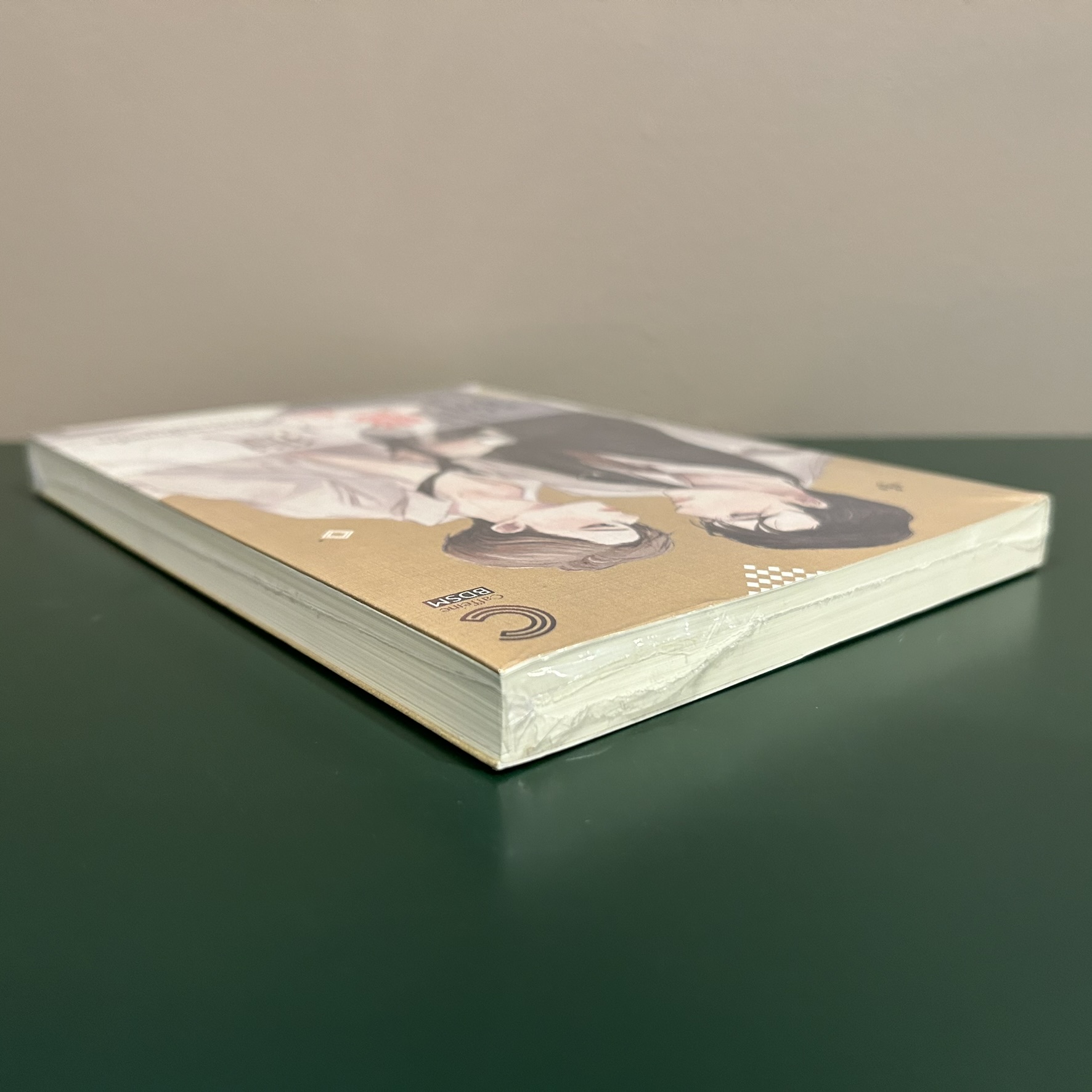 [YAOI] ผมอยากเป็นเหยื่อของนายท่าน ... หมีเตี๋ยสือซานเซียง (มือหนึ่งซีล) แปลจีน นิยายวาย DEEP