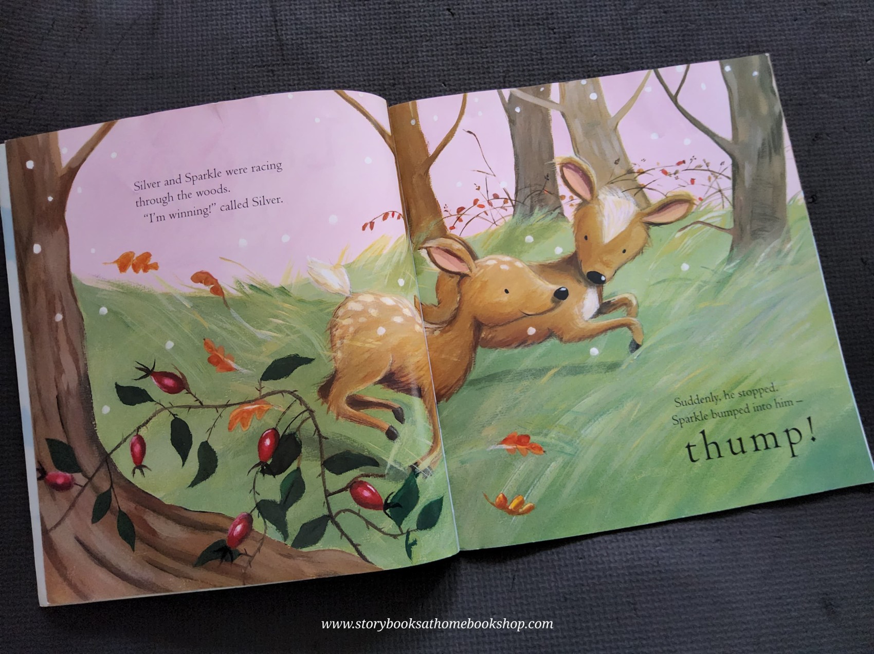 หนังสือนิทานปกอ่อน** 🍅🍅LITTLE DEER LOST BY JANET BINGHAM&ROSALIND BEARDSHAW