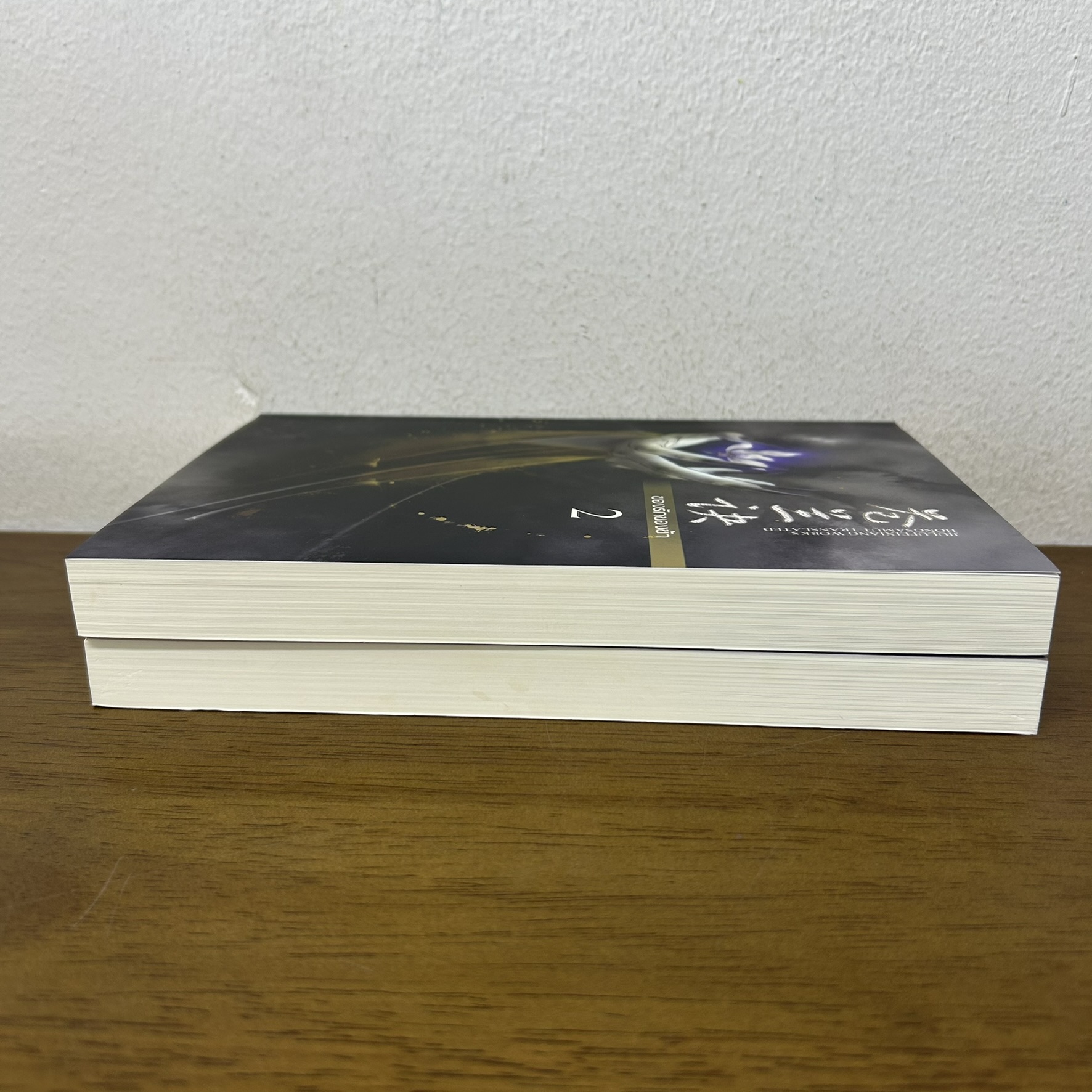 ของรักของข้า เล่ม 1-2 จบ ... จิ่วลู่เฟยเซียง Jiu Lu Fei Xiang เขียน (มือสอง) นิยาย แปลจีน ห้องสมุด