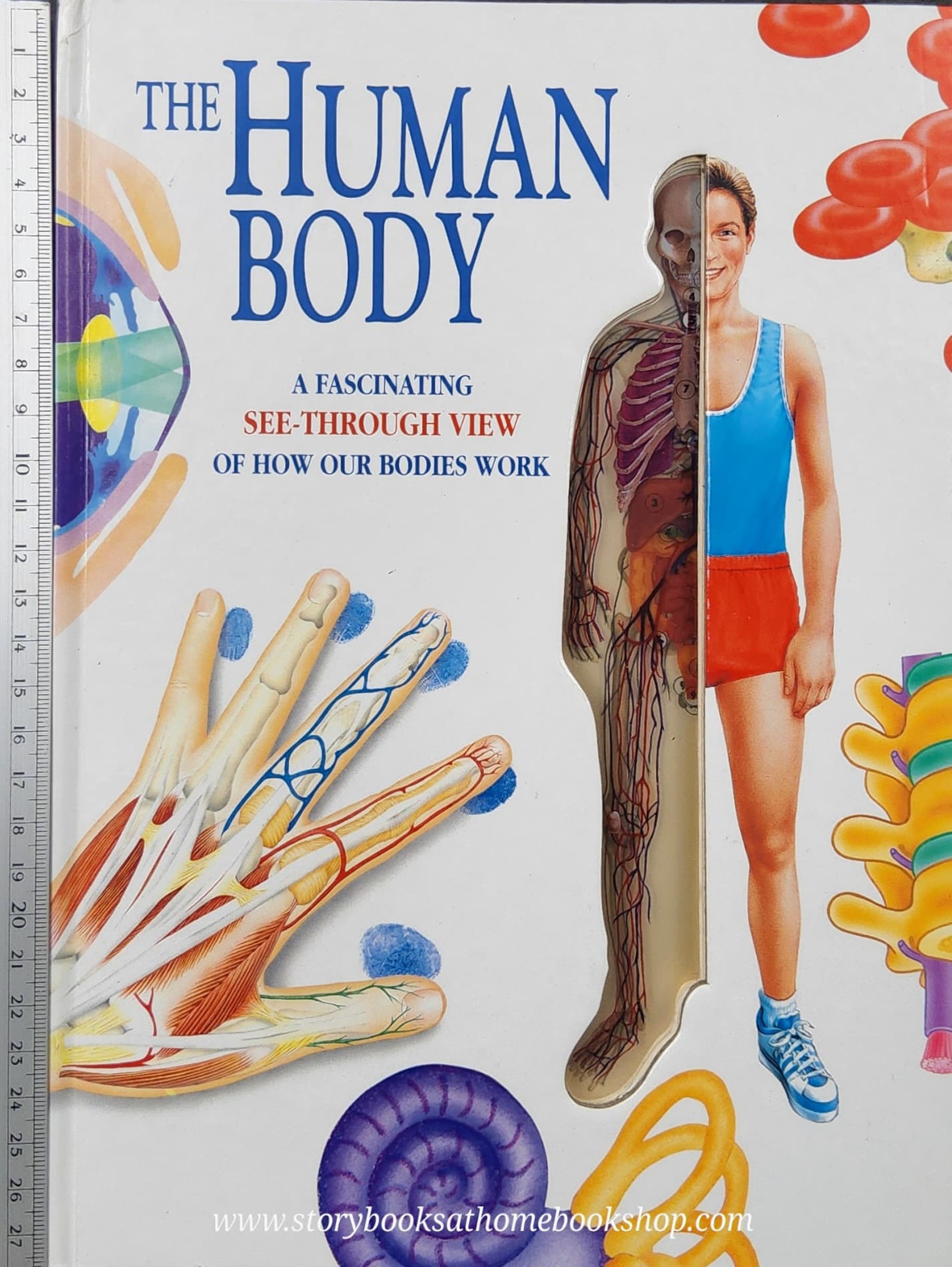 SPECIAL BOOK++ **KNOWLEDGE Book** 🍅🍓THE HUMAN BODY: A FASCINATING SEE-THROUGH VIEW OF HOW OUR BODIES WORK