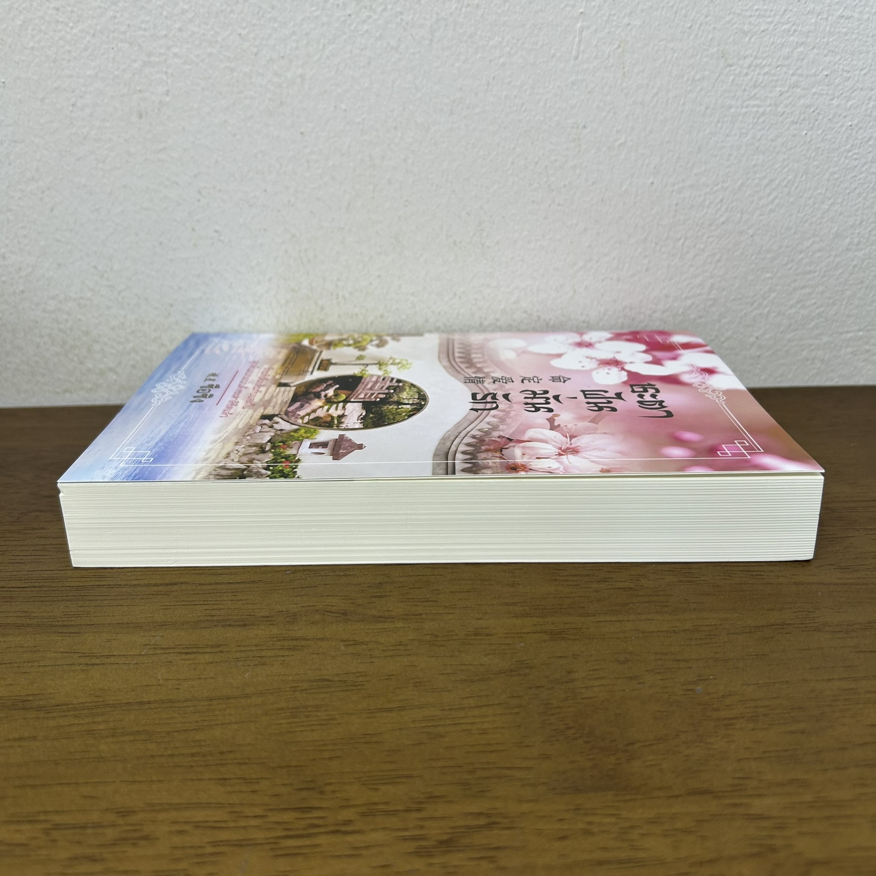 ชะตาฝันมั่นรัก ... ซือซิง (มือสอง) นิยายรัก โรแมนติก คำต่อคำ