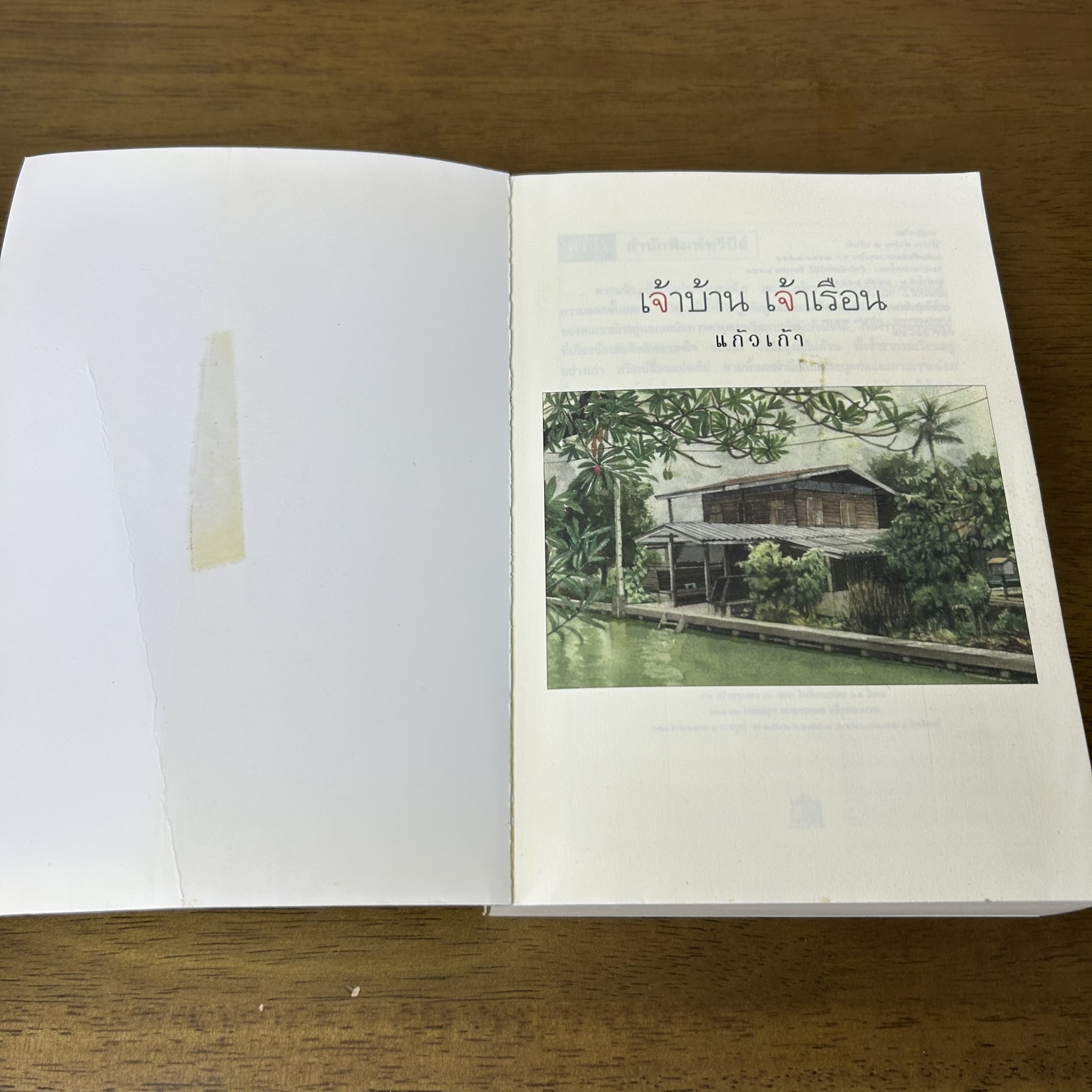 เจ้าบ้านเจ้าเรือน ... แก้วเก้า (มือสอง) นิยาย โรแมนติก ทรีบีส์ เพื่อนดี