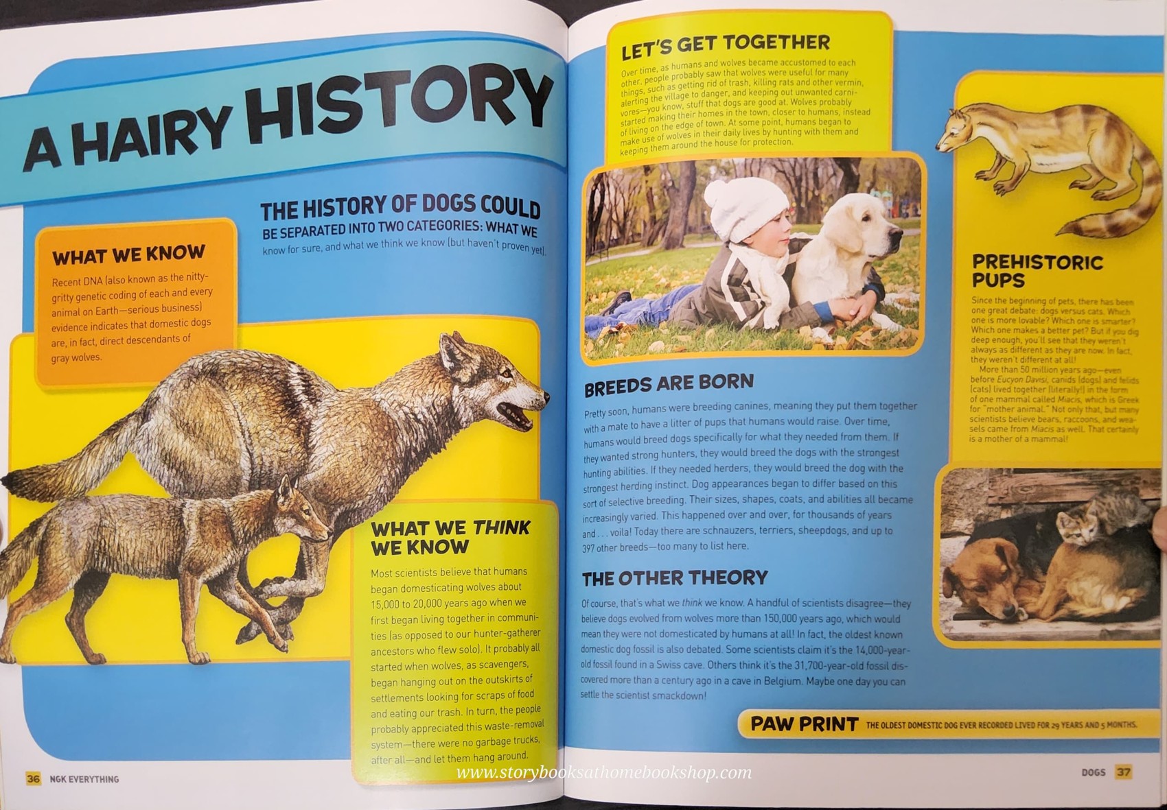 KNOWLEDGE BOOK** ♥️NATIONAL GEOGRAPHIC KIDS:EVERYTHING DOGS