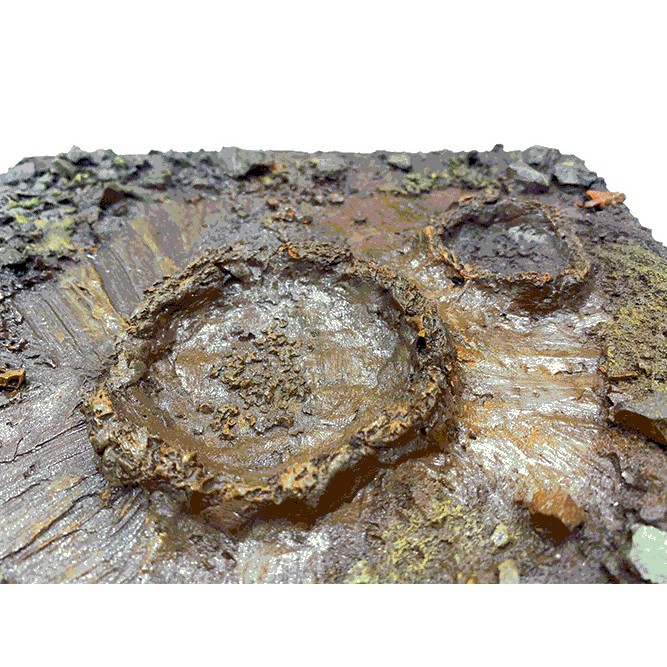 ฉากพื้นผิวดวงดาว ไดโอราม่า งานเรซิ่น GK Resin Diorama Planet Ground