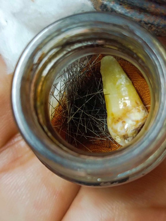 พระทันตธาตุ ครูบาข่าย วัดหมูเปิ้ง หมู่บ้านเหมืองจี้ อ.เมือง จ.ลำพูน ได้มาจากลุงเล็ก เหมืองจี้ อายุ 72 ปี (บันทึก พ.ศ.2567) ท่านเป็นศิษย์ครูบาข่าย และดูแลครูบาข่าย ลุงเล็ก เสียชีวิตเมื่อเดือนตุลาคม 2566