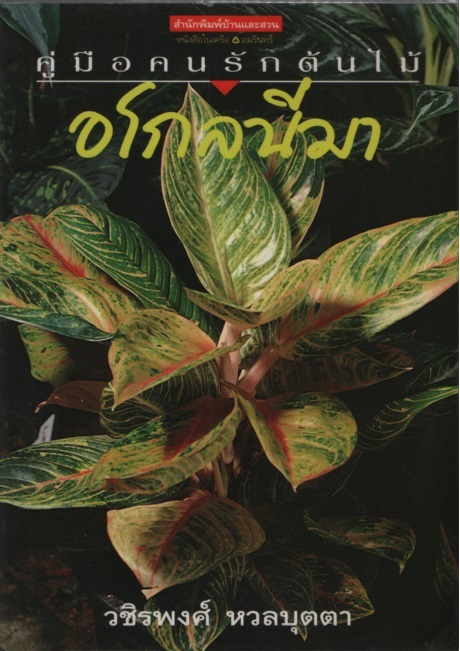 อโกลนีมา