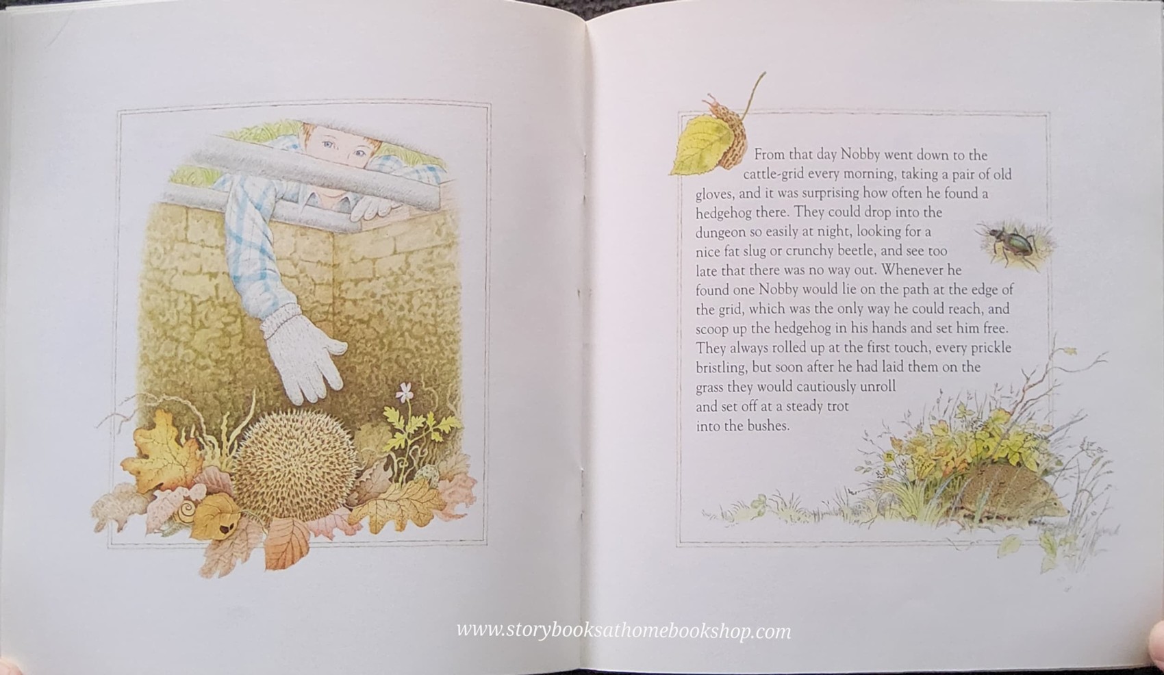 หนังสือนิทานปกอ่อน** ♥️OPERATION HEDGEHOG BY MARGARET LANE