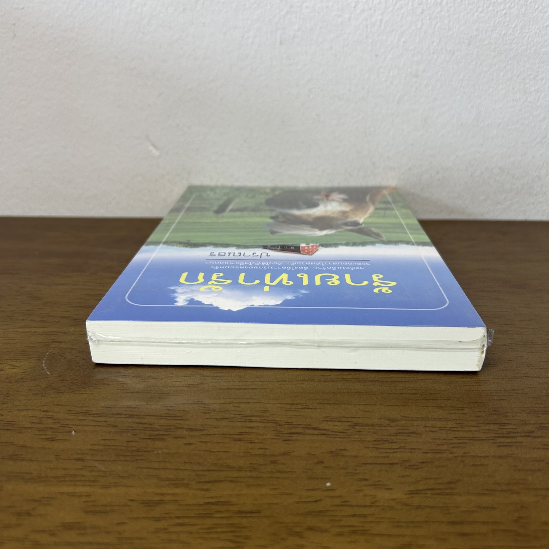 ร้ายเท่ารัก ... ปราณธร (มือสอง) นิยาย โรแมนติก ทำมือ