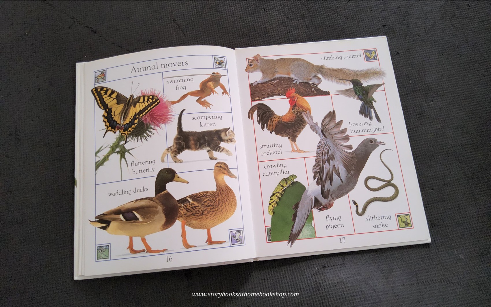 KNOWLEDGE BOOK** ♥️♥️BABY'S BOOK OF NATURE