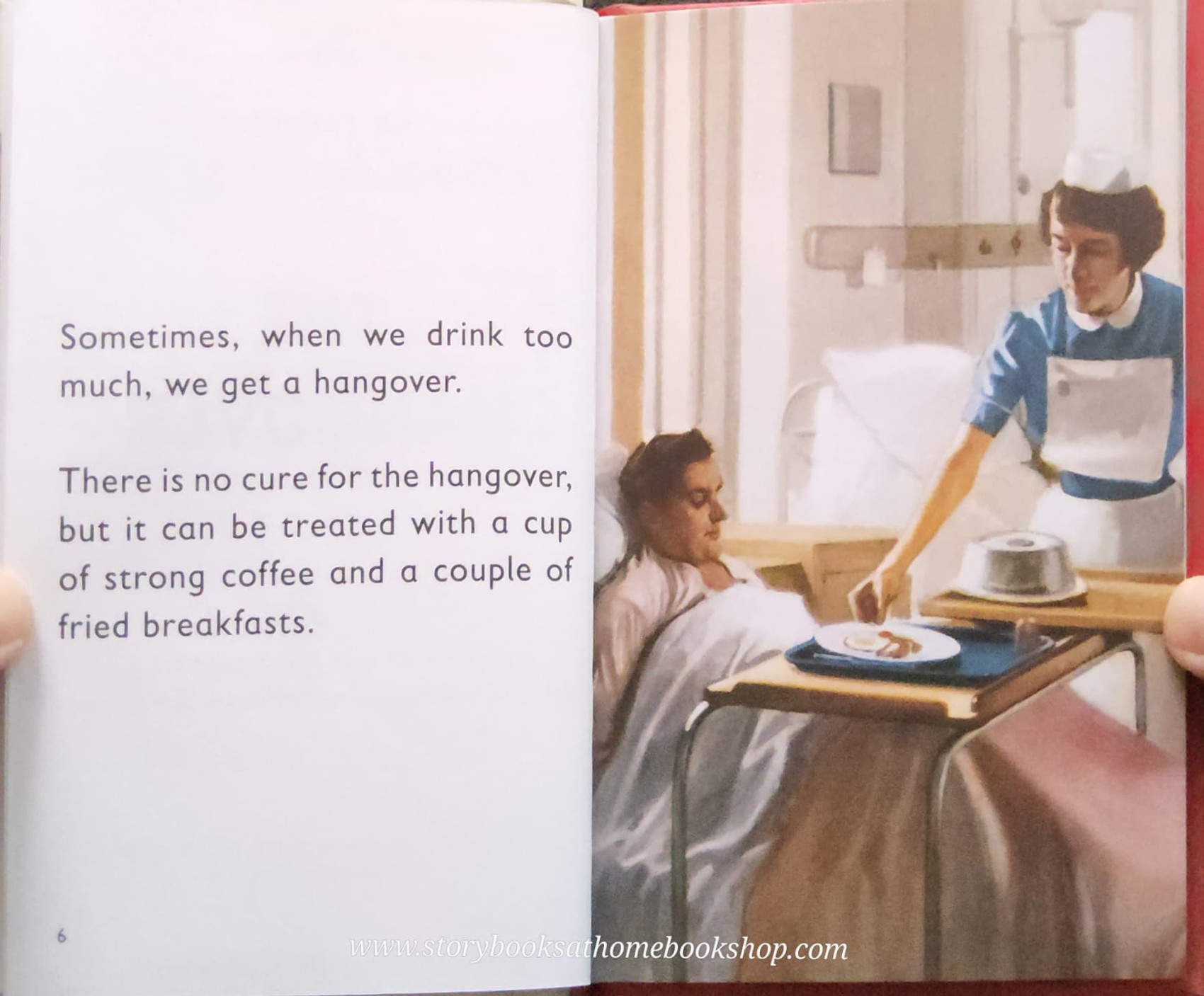 หนังสือนิทานปกแข็ง** 🍅🍓THE LADYBIRD BOOK OF THE HANGOVER