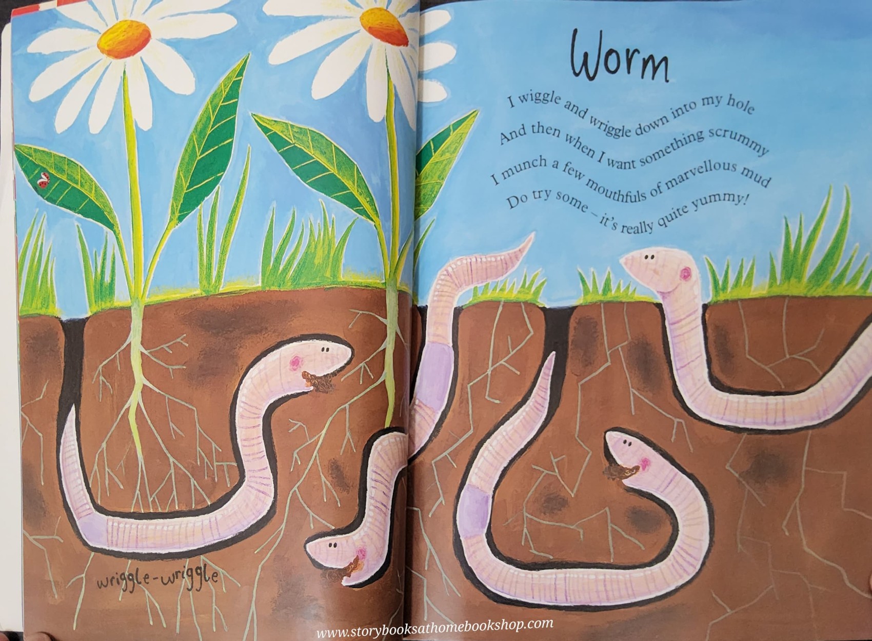 หนังสือนิทานปกอ่อน** 🍅🍅MAD ABOUT MINIBEASTS!