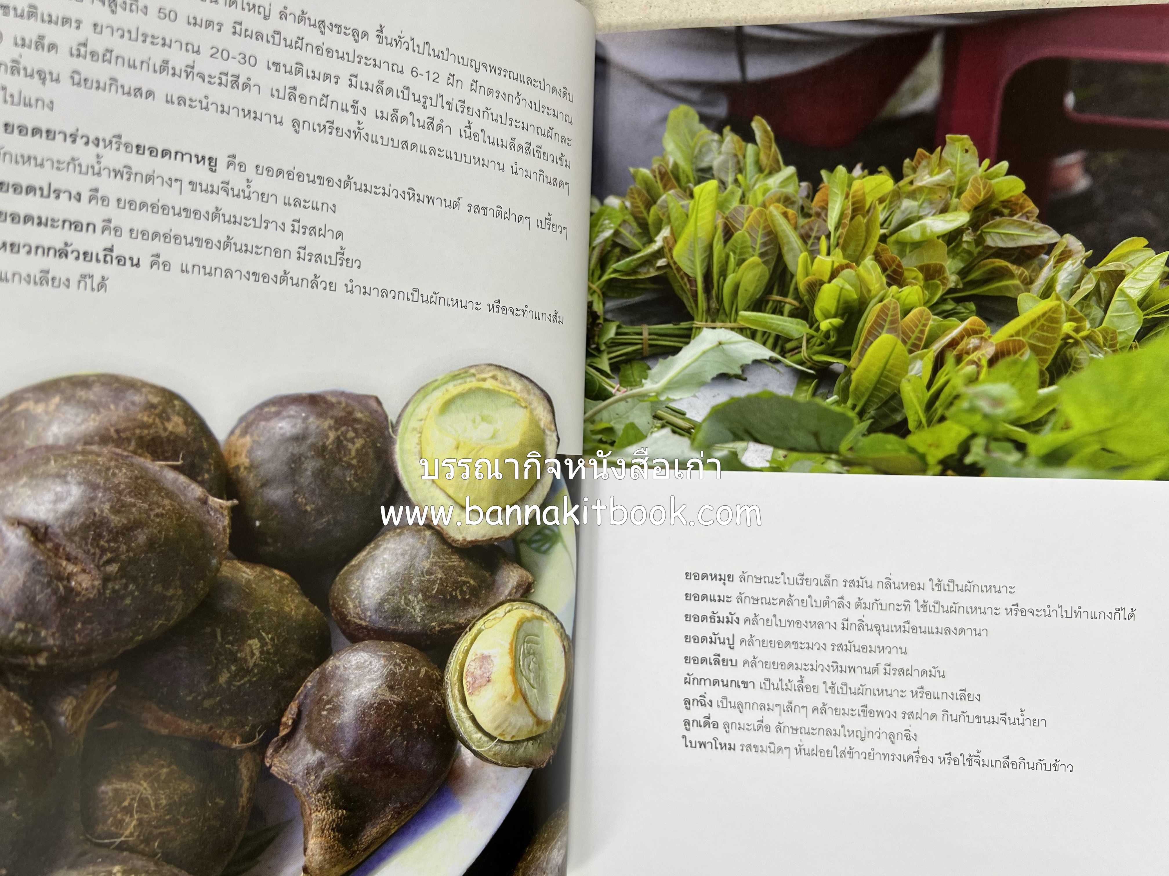 เมนูปักษ์ใต้ หรอยจังฮู้ (ตำรับอาหารใต้แท้ แกงเหลือง แกงไตปลา ข้าวยำ ฯลฯ).