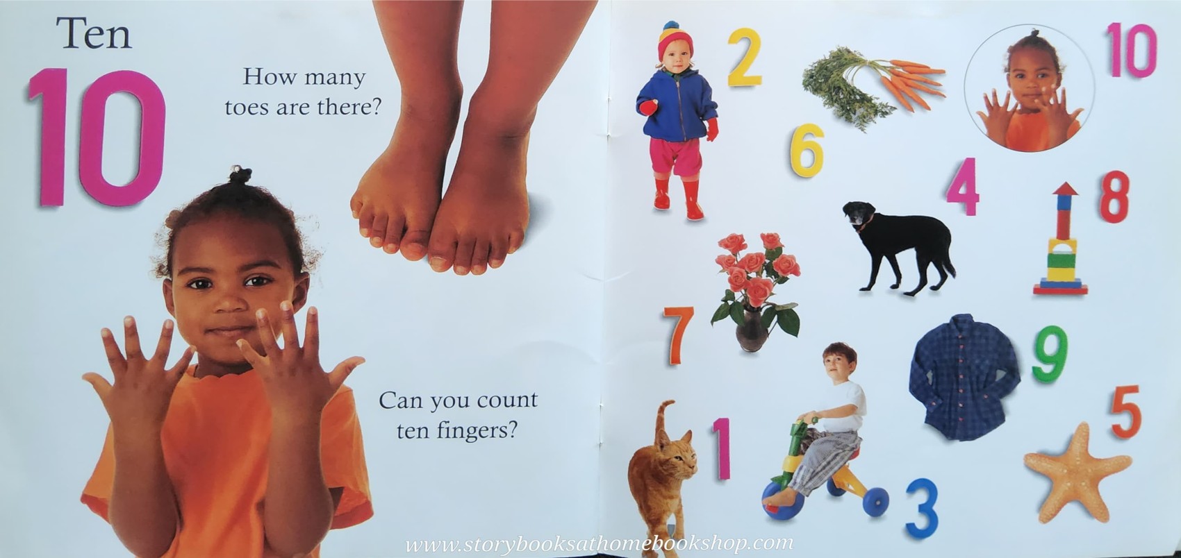 หนังสือนิทานปกอ่อน** ♥️LET'S LOOK AT NUMBERS