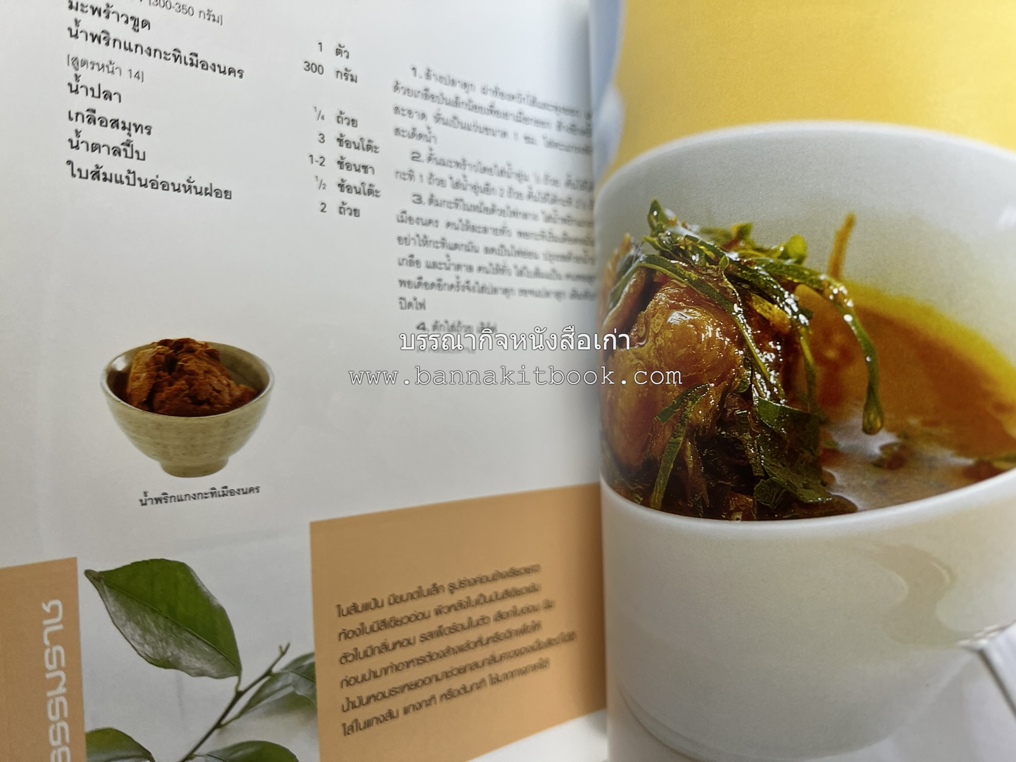 ข้าวแกงเป็นอาชีพ โดย : สำนักพิมพ์แสงแดด.