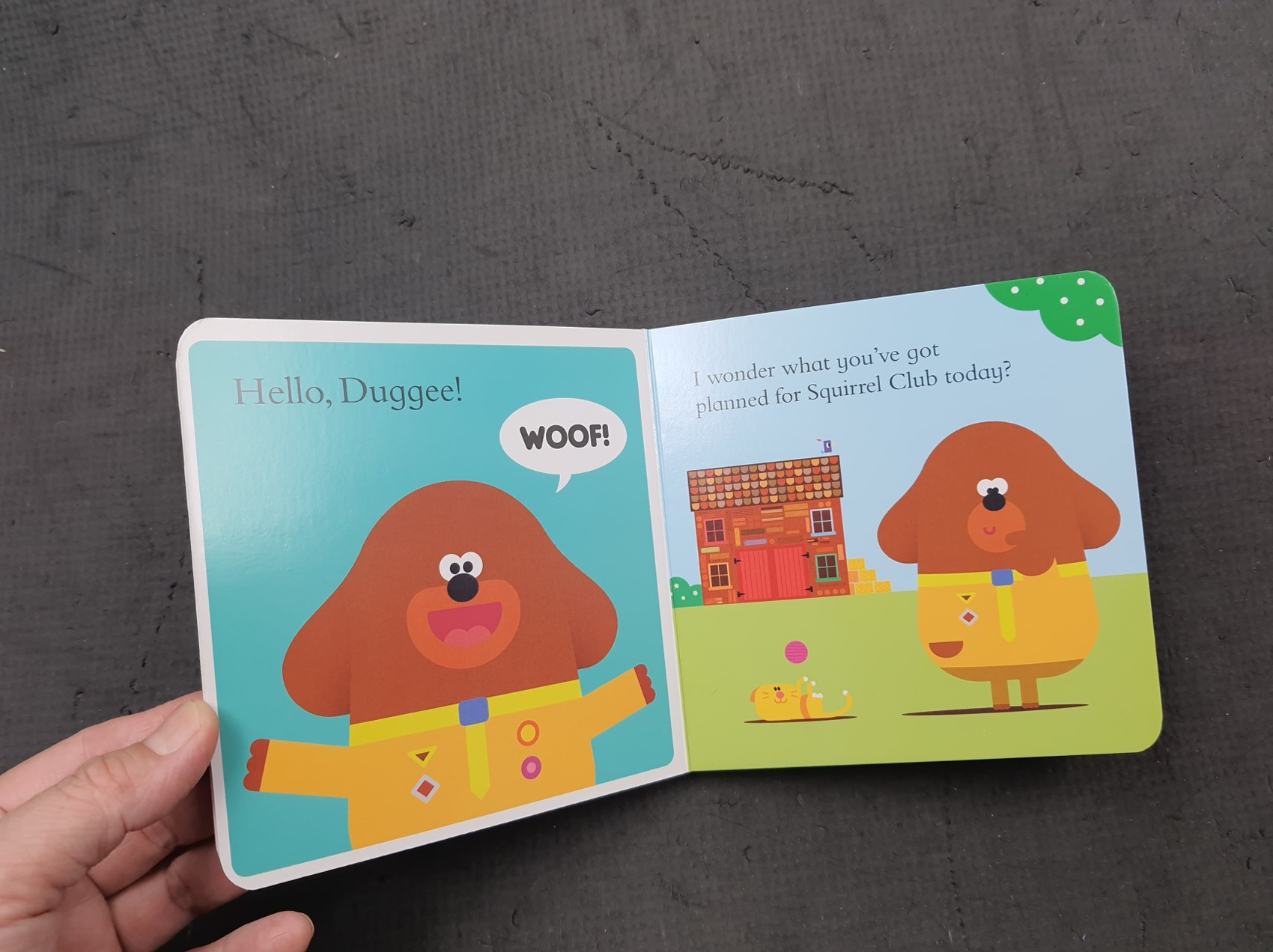 BOARD Book** 🍅🍓HEY DUGGEE DUGGEE