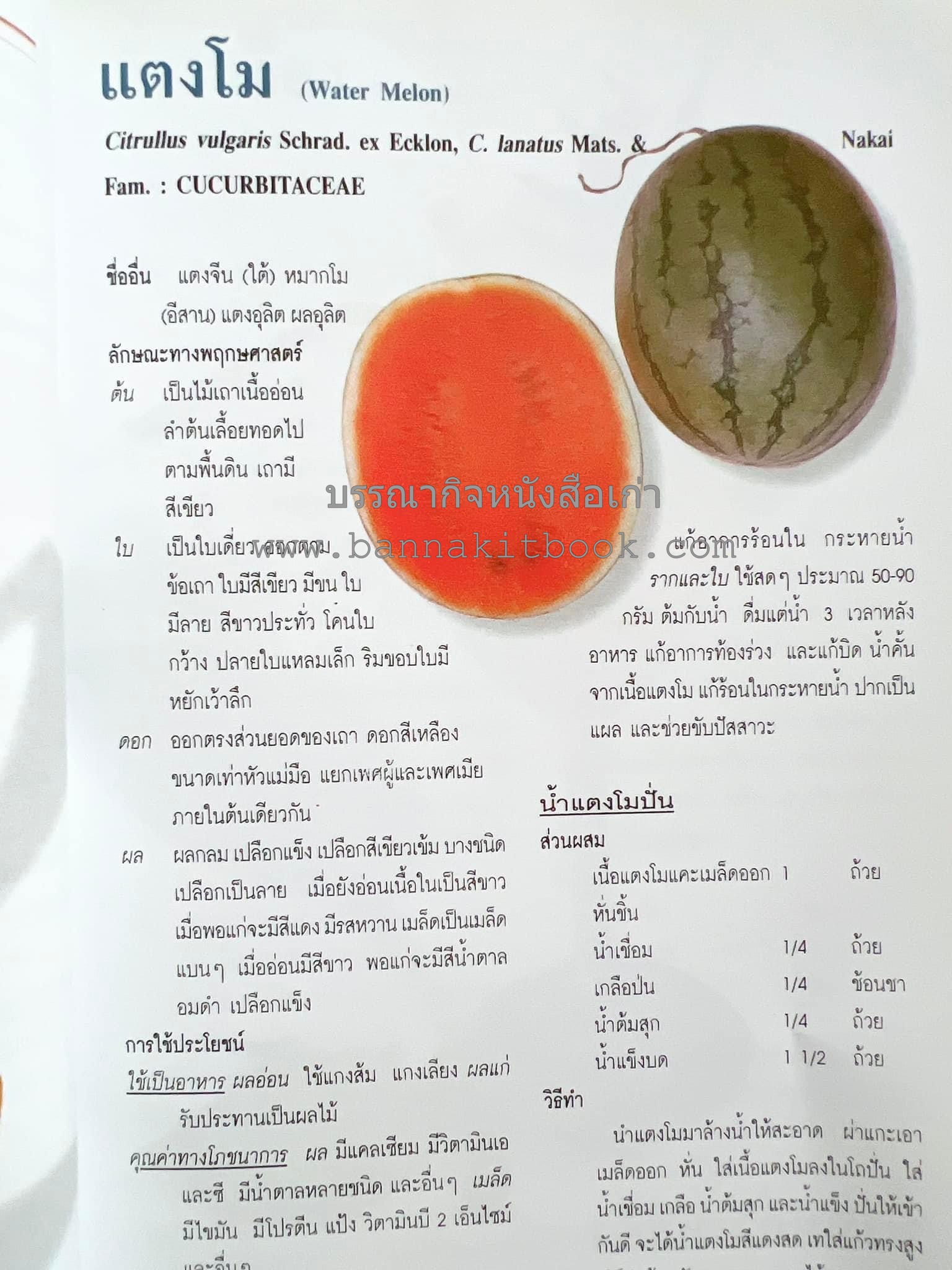 น้ำสมุนไพร 108 สูตร-วิธีทำจากผักพื้นบ้านและผลไม้ไทย โดย สถาบันการแพทย์แผนไทย.