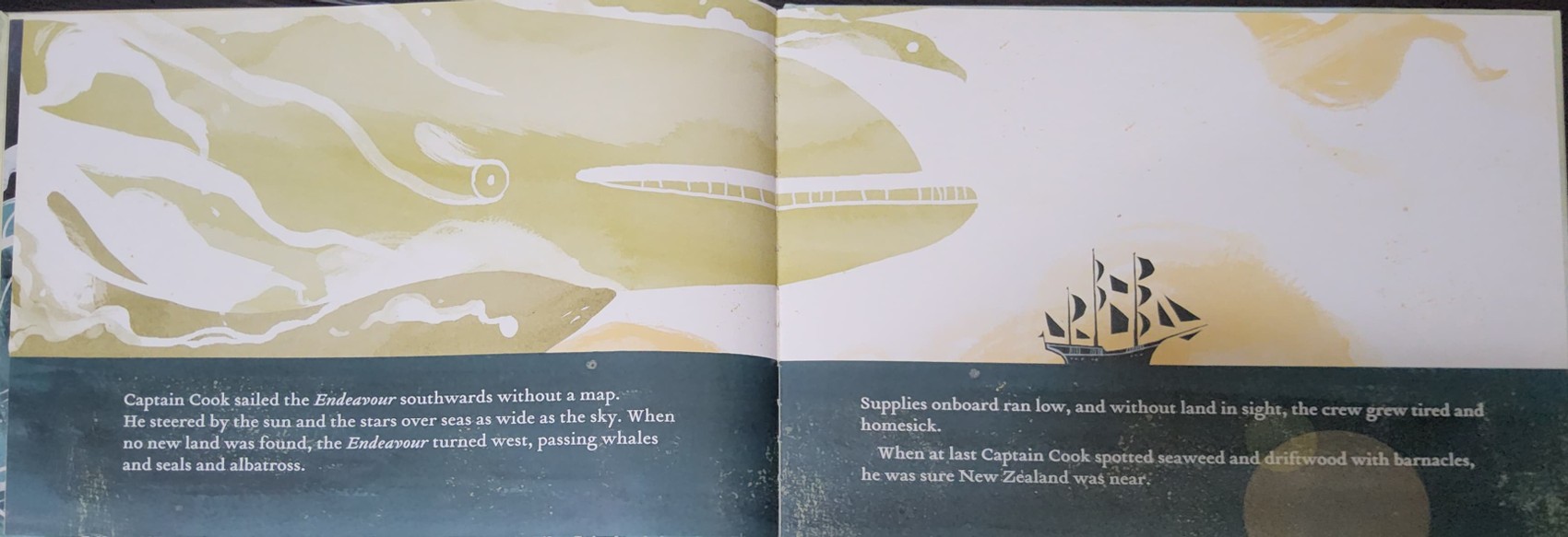 หนังสือนิทานปกแข็ง** 🍅🍓MEET CAPTAIN COOK BY RAE MURDIE