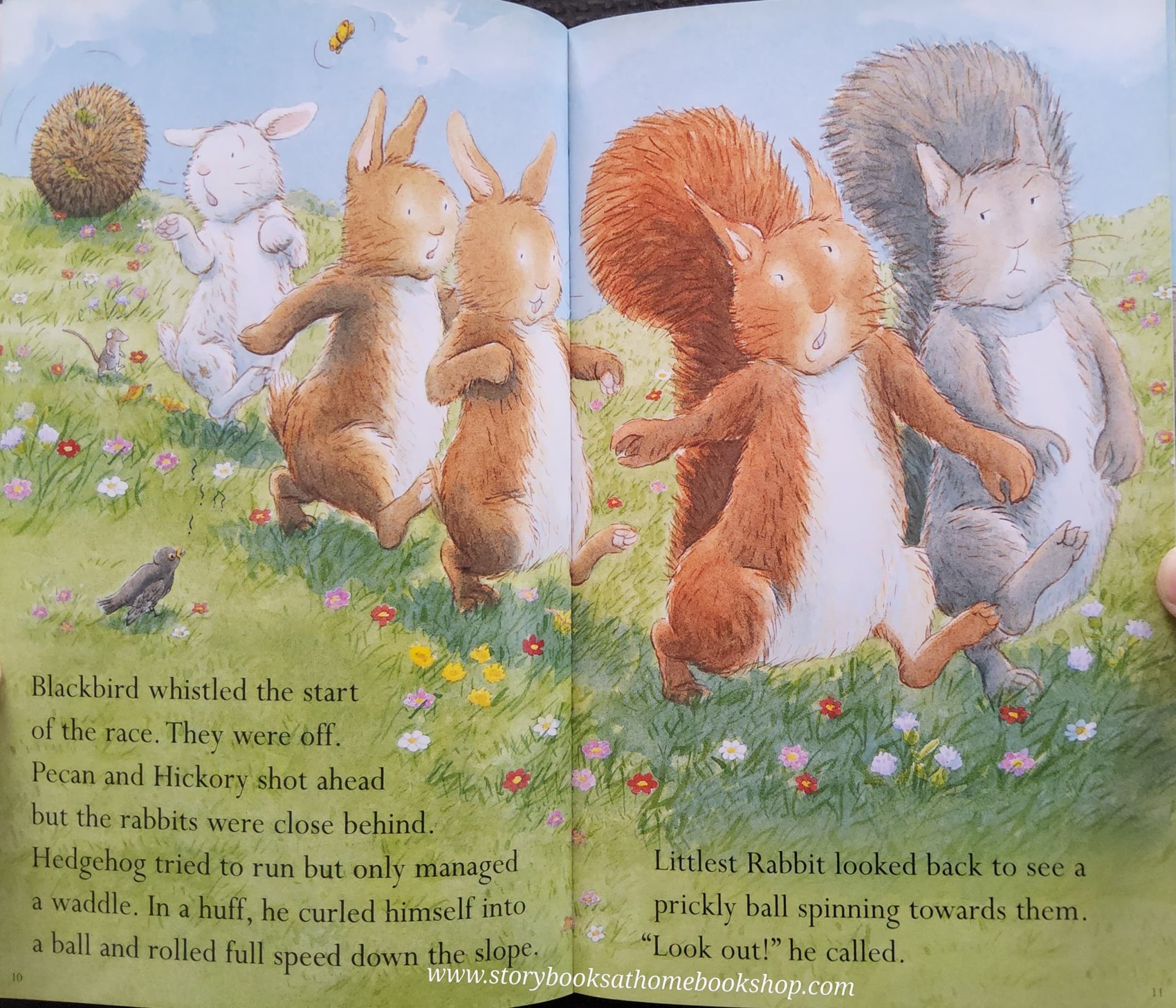 หนังสือนิทานปกอ่อน** 🍅READY STEADY READ THE NUTTY NUT CHASE BY KATHRYN WHITE AND VANESSA CABBAN