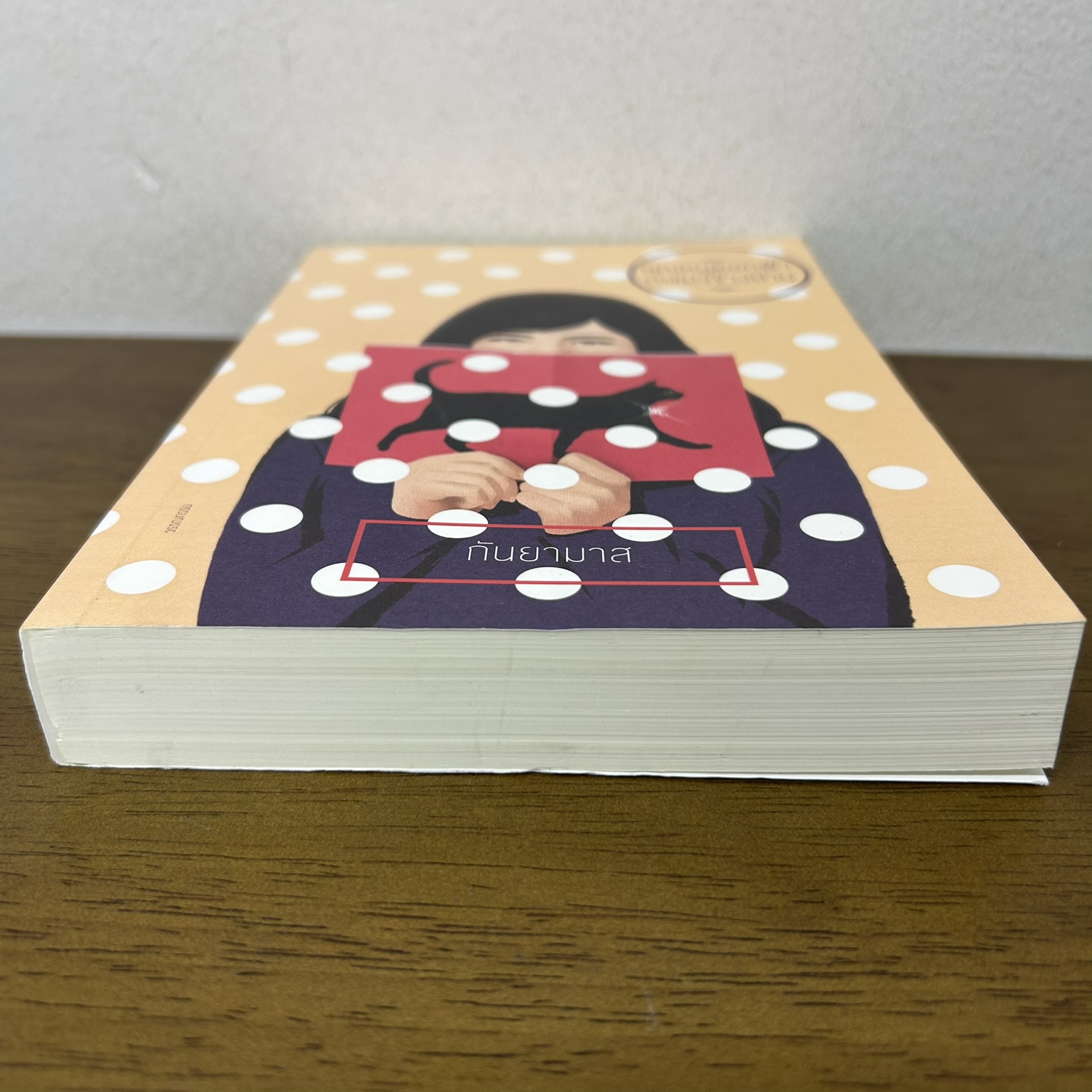 คุณหนูดอกฟ้ากะแมวข้างบ้าน ... กันยามาส (มือสอง) นิยาย โรแมนติก แสงดาว