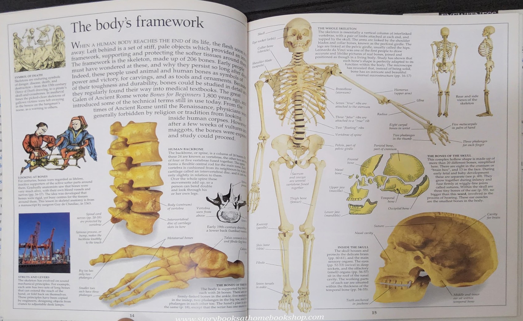 KNOWLEDGE BOOK** ♥️DK EYEWITNESS GUIDES:HUMAN BODY