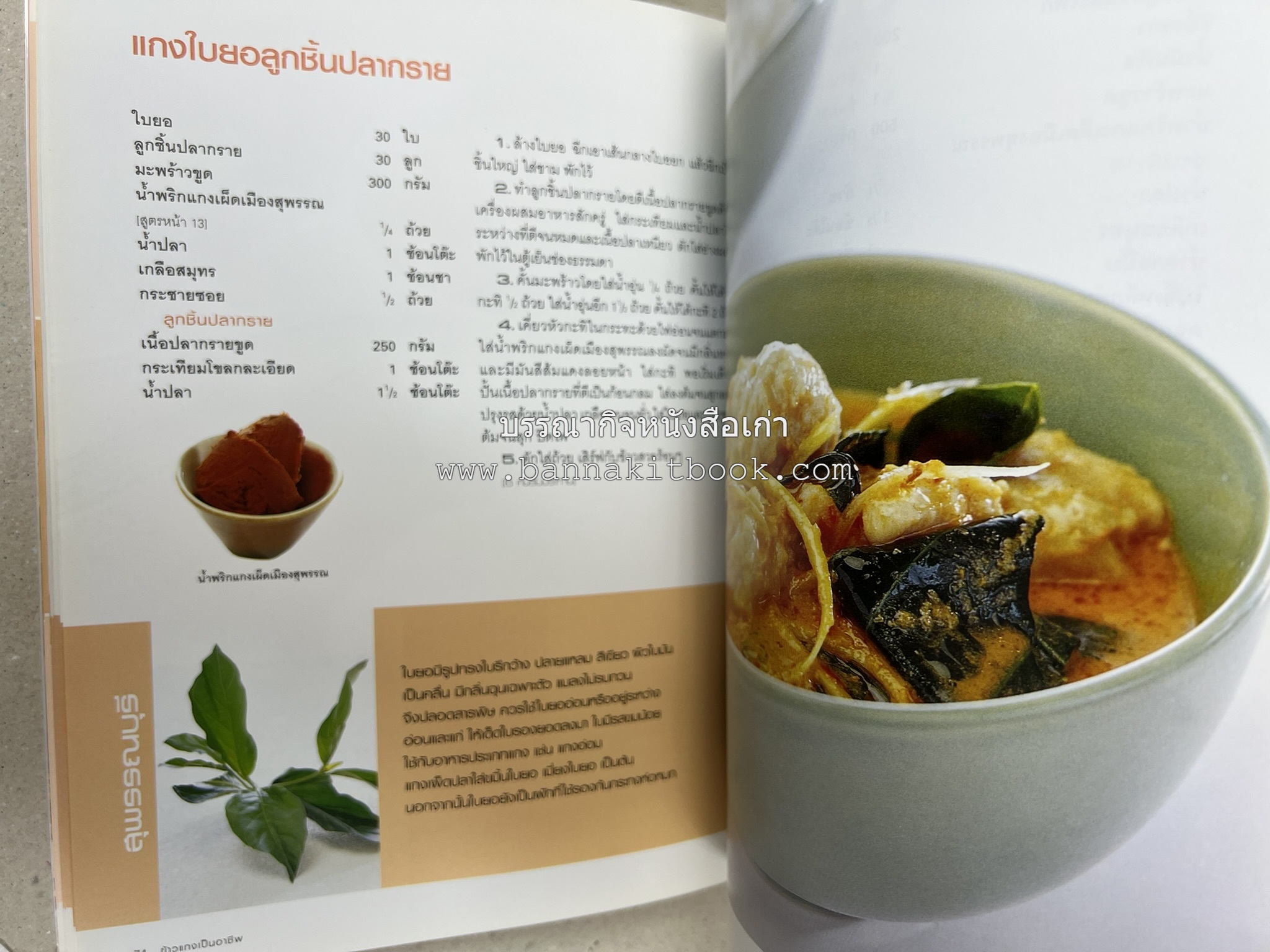 ข้าวแกงเป็นอาชีพ โดย : สำนักพิมพ์แสงแดด.