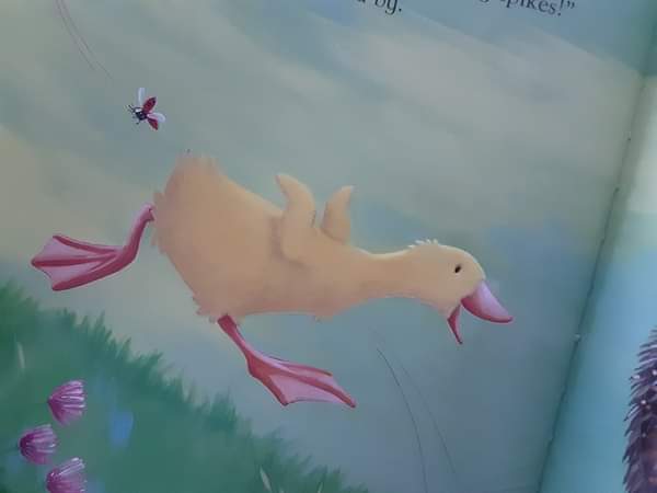 หนังสือนิทานปกอ่อน TOUCH AND FEEL** 🍓🍓 DILLY DUCKLING