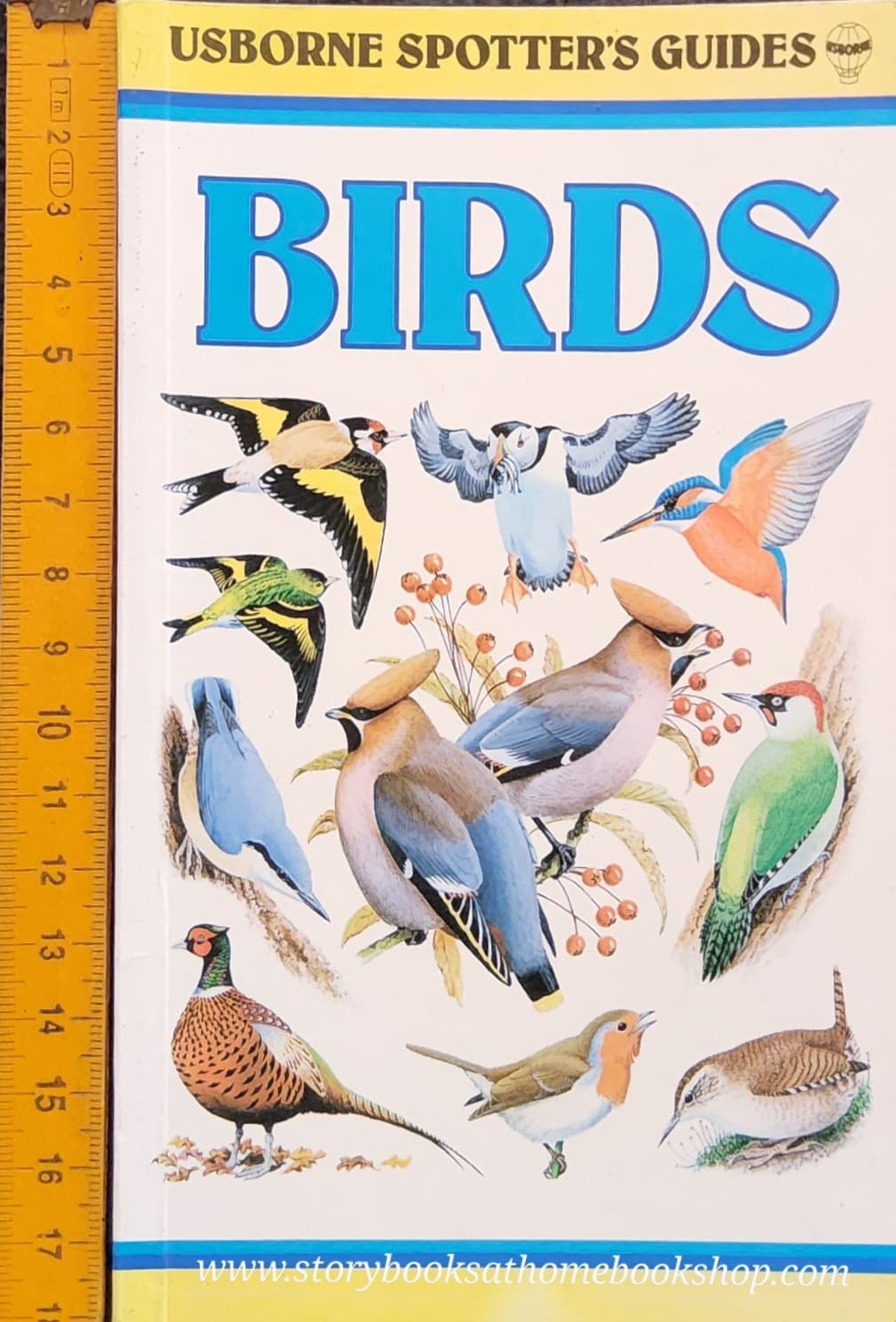 Knowledge Book** 🍅🍅USBORNE SPOTTERS GUIDE: BIRDS