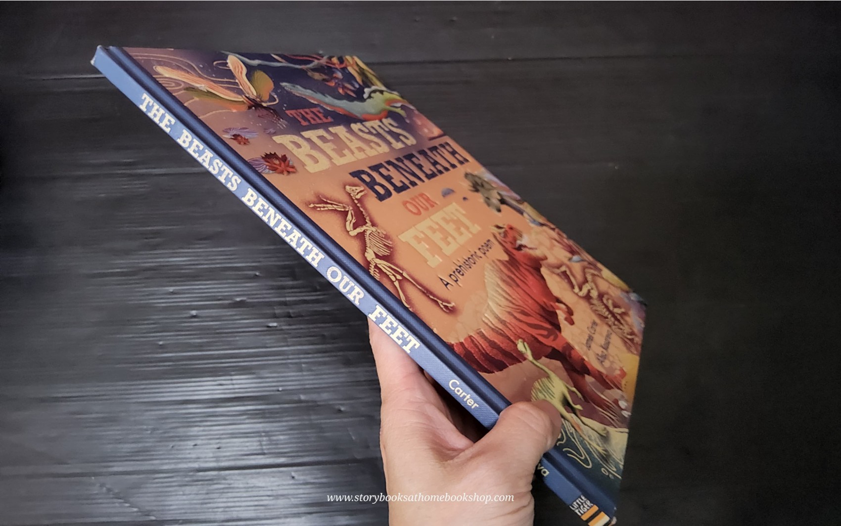 KNOWLEDGE BOOK** ♥️THE BEASTS BENEATH OUR FEET A PREHISTORIC POEM