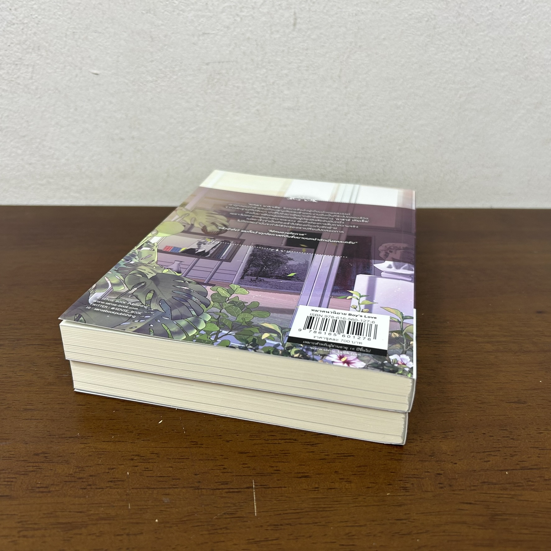 [YAOI] Boomerang เพลิงป่ากลิ่นฤดูหนาว เล่ม 1-2 จบ ครบชุด ... Galactic (มือสอง) นิยายวาย SENSE