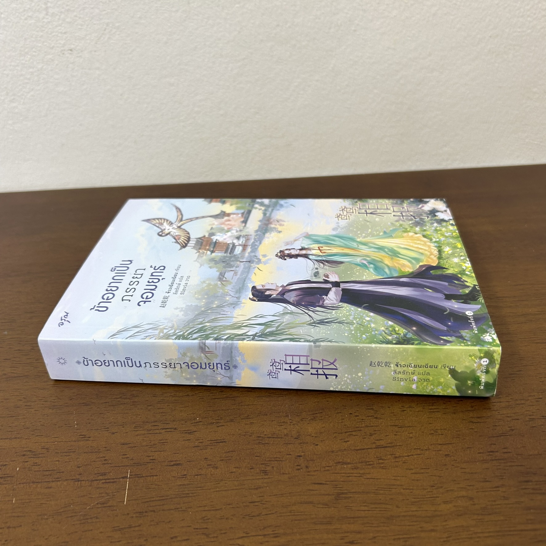 ข้าอยากเป็นภรรยาจอมยุทธ์ ... จ้าวเฉียนเฉียน จ้าวกานกาน (มือสอง) นิยายรัก นิยาย แปลจีน โรแมนติก