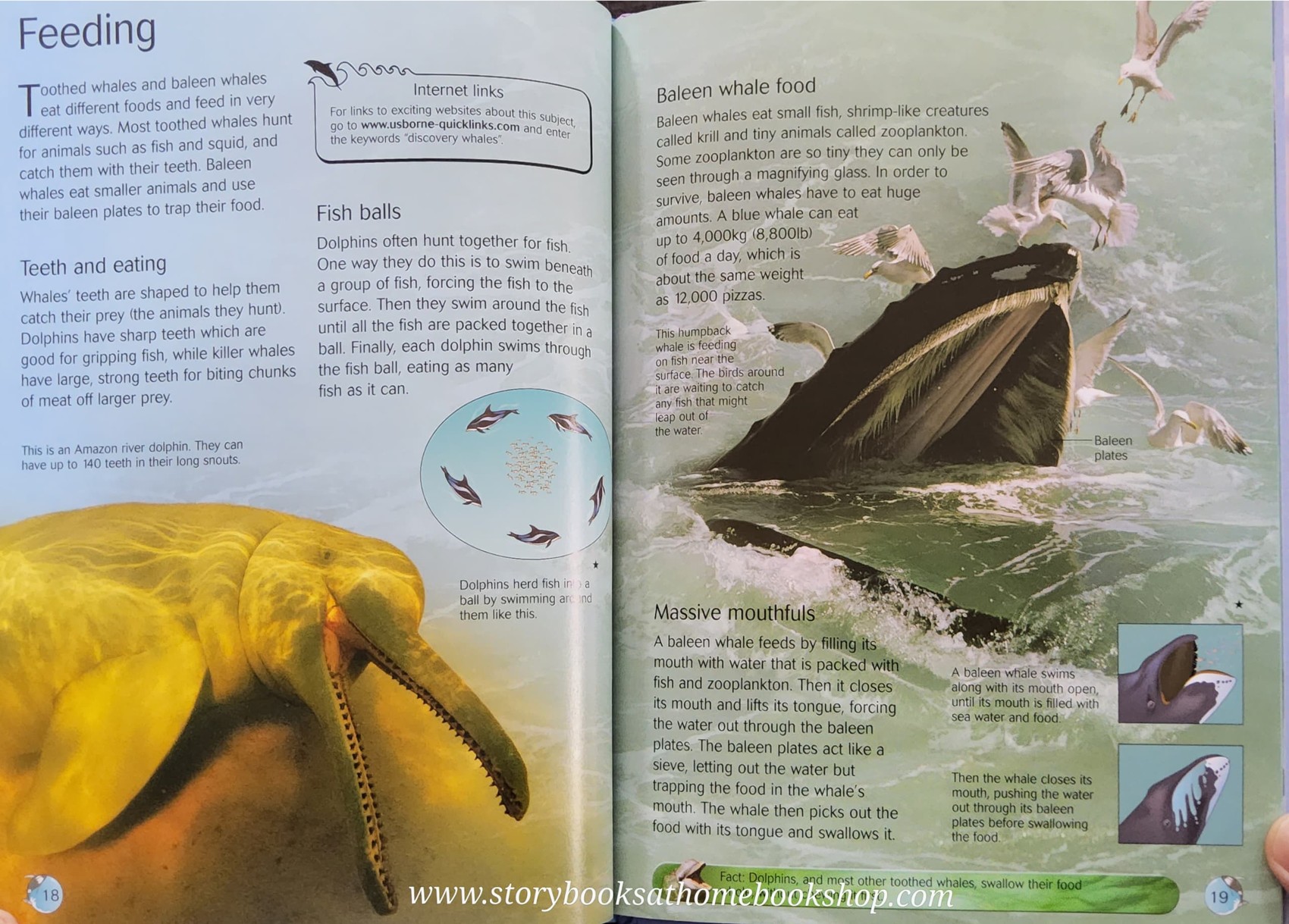 KNOWLEDGE BOOK** ♥️♥️USBORNE DISCOVERY WHALES AND DOLPHINS♥️♥️