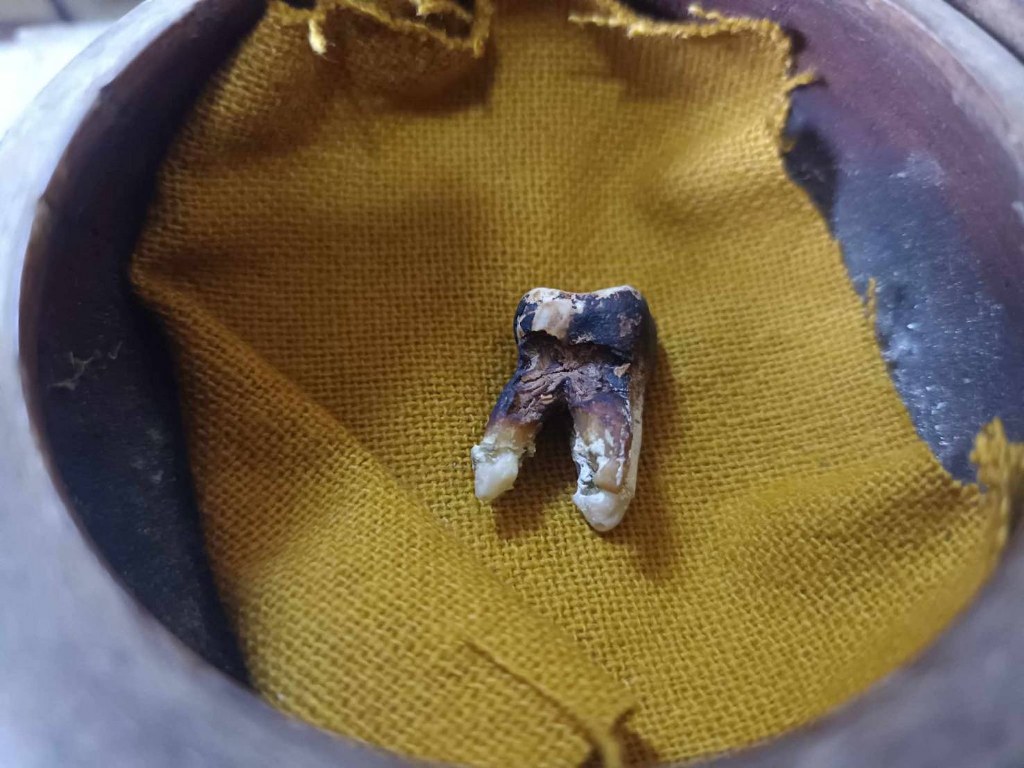 พระทันตธาตุ ครูบาปัญญา วัดหนองบัว จ.น่าน ได้มาจากคุณวินัย อายุ 84 ปี อดีตนายอำเภอ หลายพื้นที่ คุณวินัย ท่านได้พระทันตธาตุครูบาปัญญา จากอดีตลูกน้องของท่าน ซึ่งเป็นลูกศิษย์ครูบาปัญญา ชื่อเกรียงไกร เมื่อปี 2532 ณ ตอนนั้นท่านเป็นปลัดอำเภอ จ.น่าน