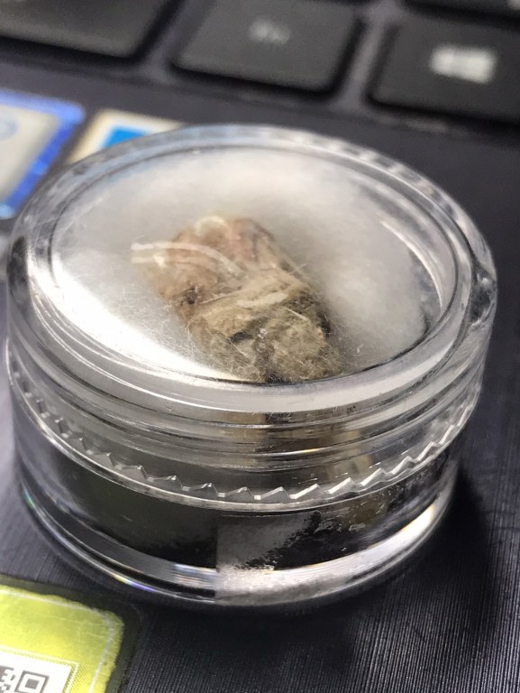 พระทันตธาตุครูบาสิงห์ทอง อินทวังโส วัดป่าบุก ต.แม่แรง อ.ป่าซาง จ,ลำพูน ได้จากหนานชัย ปัจจุบันอายุ 65 ปี (บันทึกปี 2567) ขอยของชำในตลาดสด อ.ป่าซาง เคยบวชอยู่ที่วัดป่าบุก เคยเป็นศิษย์รับใช้ครูบาสิงห์ทอง