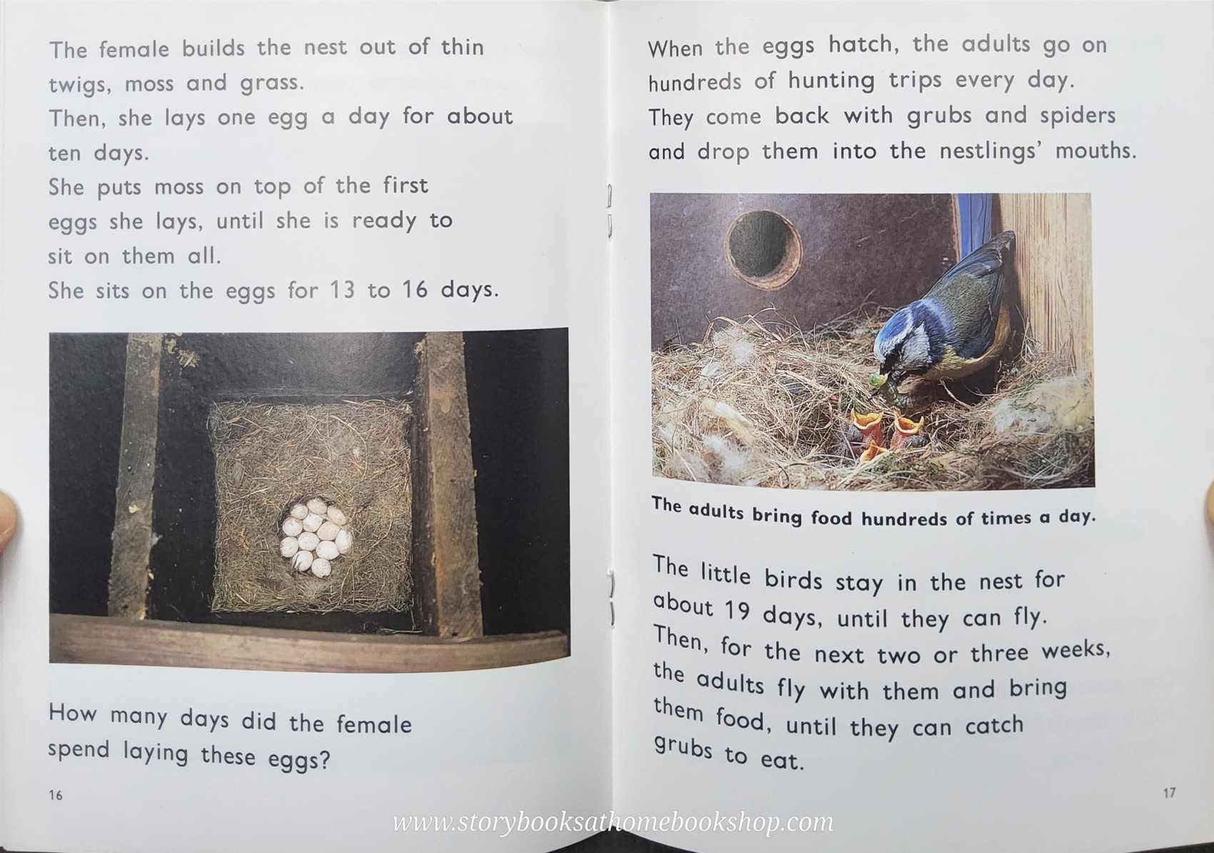 Knowledge Book** ð
ð
FUZZBUZZ FACTS: ANIMALS IN THE GARDEN LEVEL2