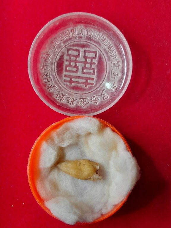 พระทันตธาตุครูบาอุ่นคำ วัดผาสุการาม จ.เชียงราย เจ้าของเดิมชื่อลุงสงวน เคยเป็นคนขับรถและเป็นศิษย์ใกล้ชิดหลวงพ่อตี๋ วัดพรหมวิหาร เคยรับใช้และสะสมวัตถุมงคลของครูบาอุ่นคำ ลุงสงวนอยู่บ้านป่าเหมือด อ.แม่สาย เสียชีวิตเมื่อวันที่ 9 มีนาคม 2558 อายุ 78 ปี