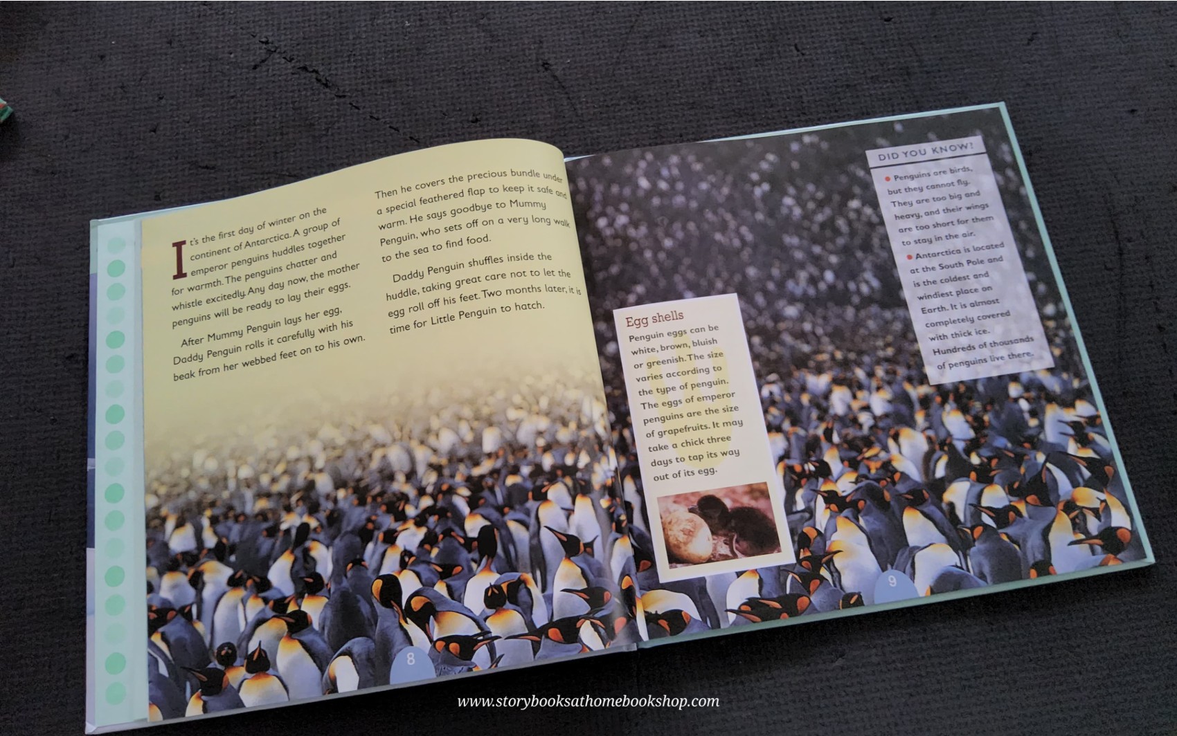 KNOWLEDGE BOOK** ♥️♥️ALL ABOUT ANIMAL:PENGUINS