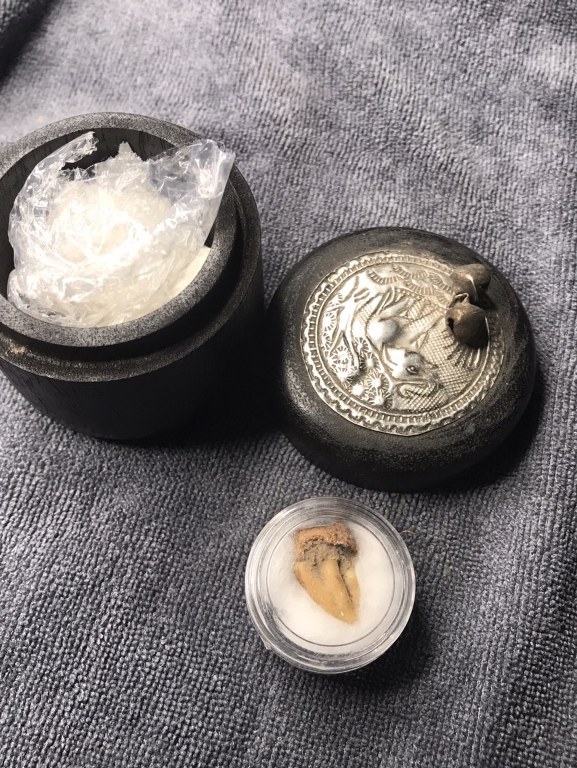 พระทันตธาตุ ครูบาเงิน วัดกอโชค จ.เชียงใหม่่ พระทันครูบาเงินนี้ ได้รับมาจากคุณอภิรักศ์ ท่านเป็น ผอ. โรงเรียนวัดท่ากาน อ.สันป่าตอง จ.เชียงใหม่ อายุ 52 ปี (บันทึก พ.ศ.2567) โดยได้รับมาจากคุณพ่อของท่าน ชื่อตานัน คุณตานัน เขียวคำ ท่านเสียเมื่อปี 2560