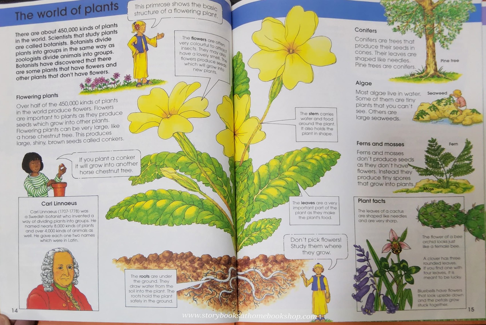 KNOWLEDGE BOOK** ð
ðFIRST SCIENCE ENCYCLOPEDIA