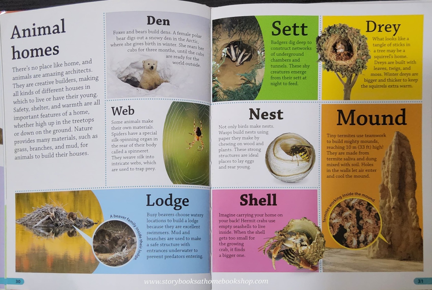 KNOWLEDGE BOOK ** 🍅🍓DK FINDOUT! ANIMALS