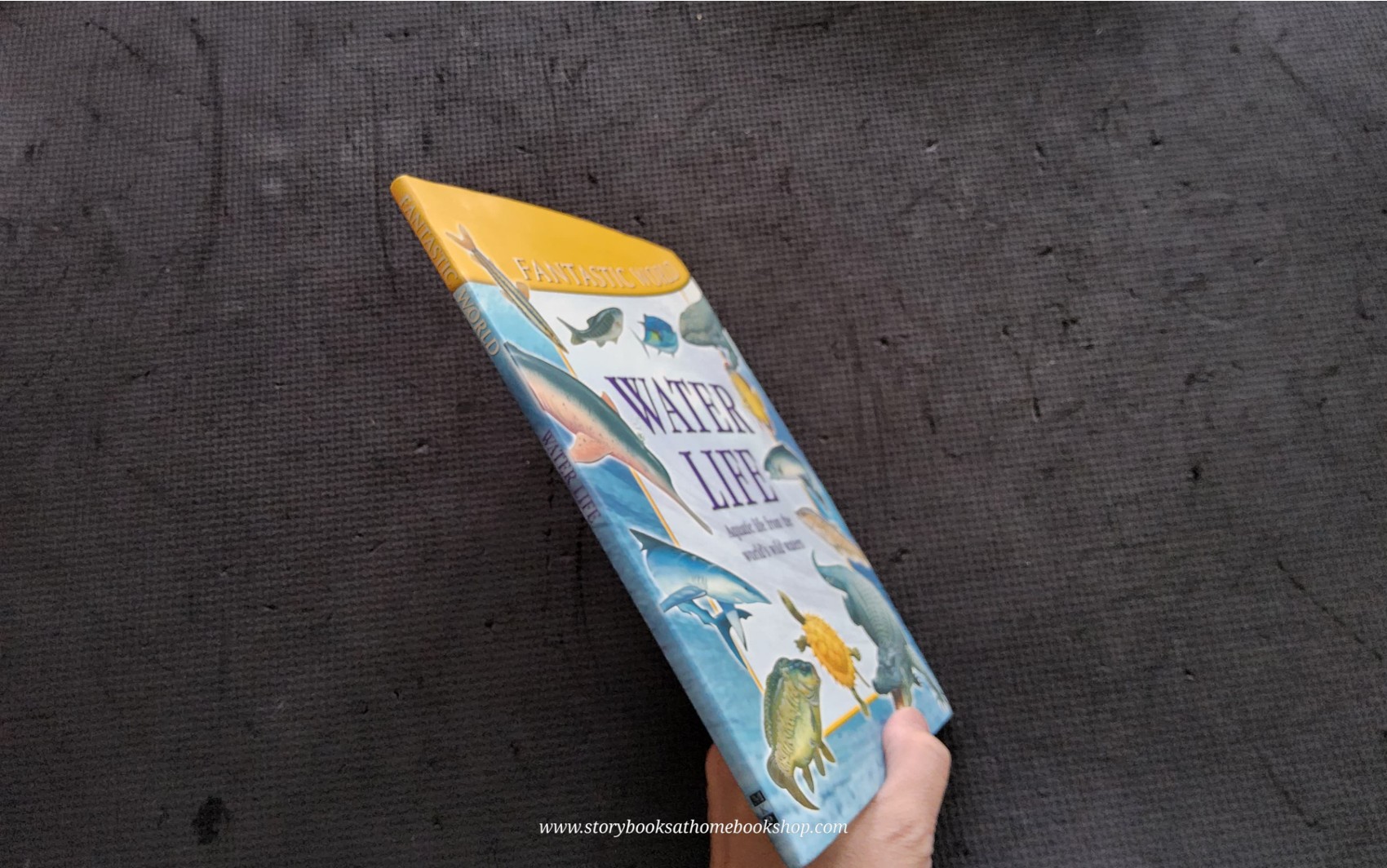 KNOWLEDGE BOOK** ♥️♥️FANTASTIC WORLD WATER LIFE