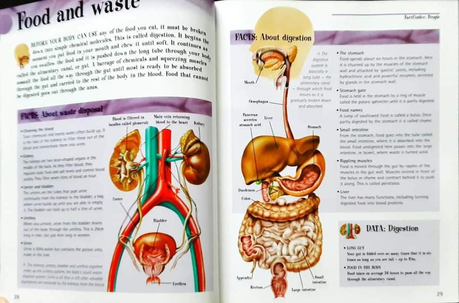Knowledge Book** ð
ðTHE BIG BOOK OF KNOWLEDGE