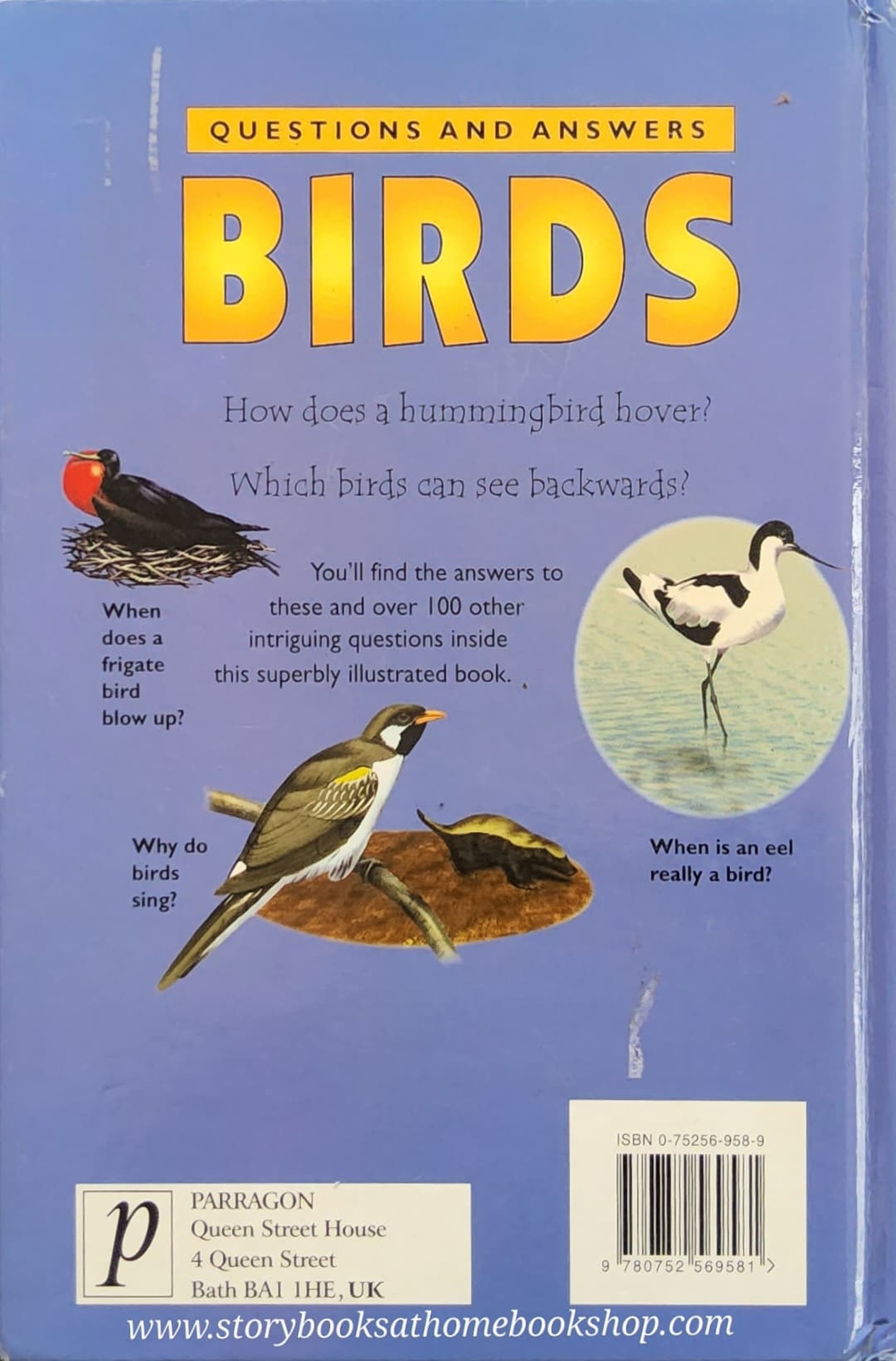 KNOWLEDGE BOOK** ♥️♥️QUESTIONS AND ANSWERS BIRDS