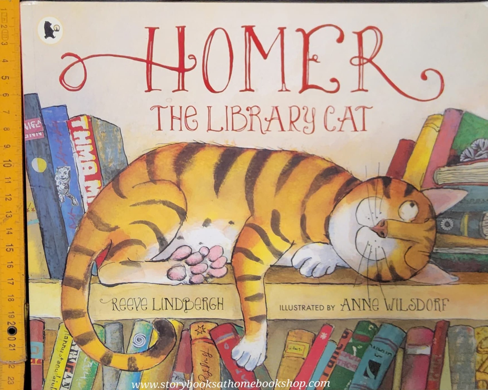 หนังสือนิทานปกอ่อน** 🍅🍓 HOMER THE LIBRARY CAT