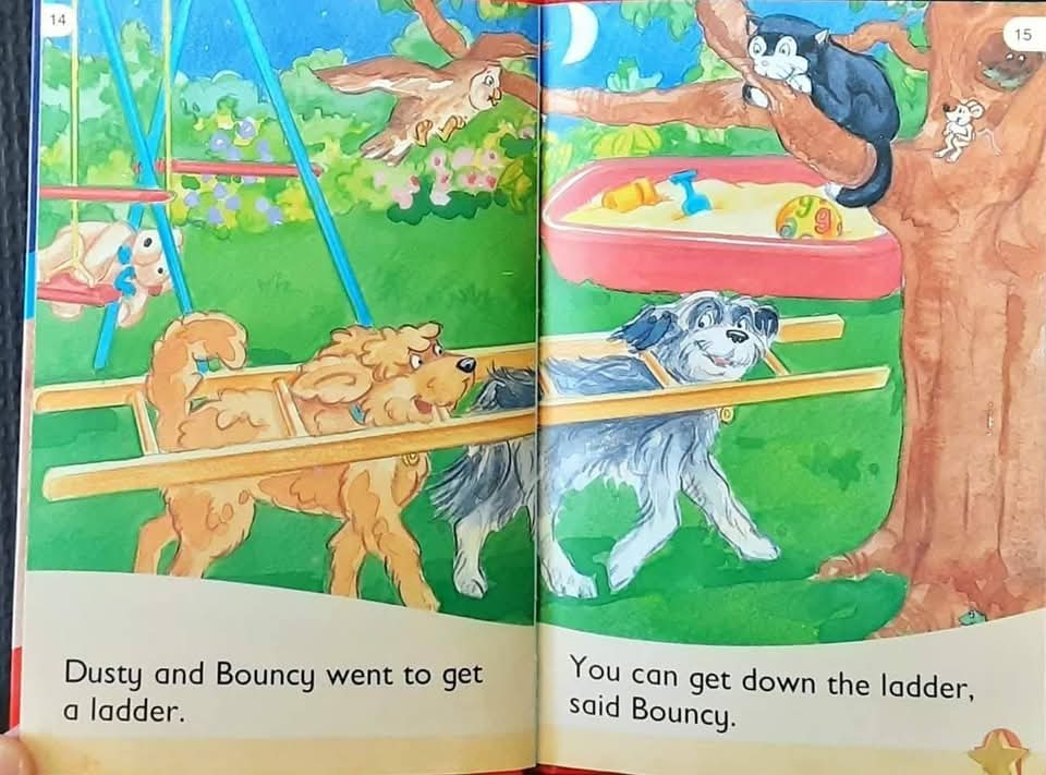 หนังสือนิทานปกแข็ง** 🍅🍓Key Words Readers:Come down,Silky Level2