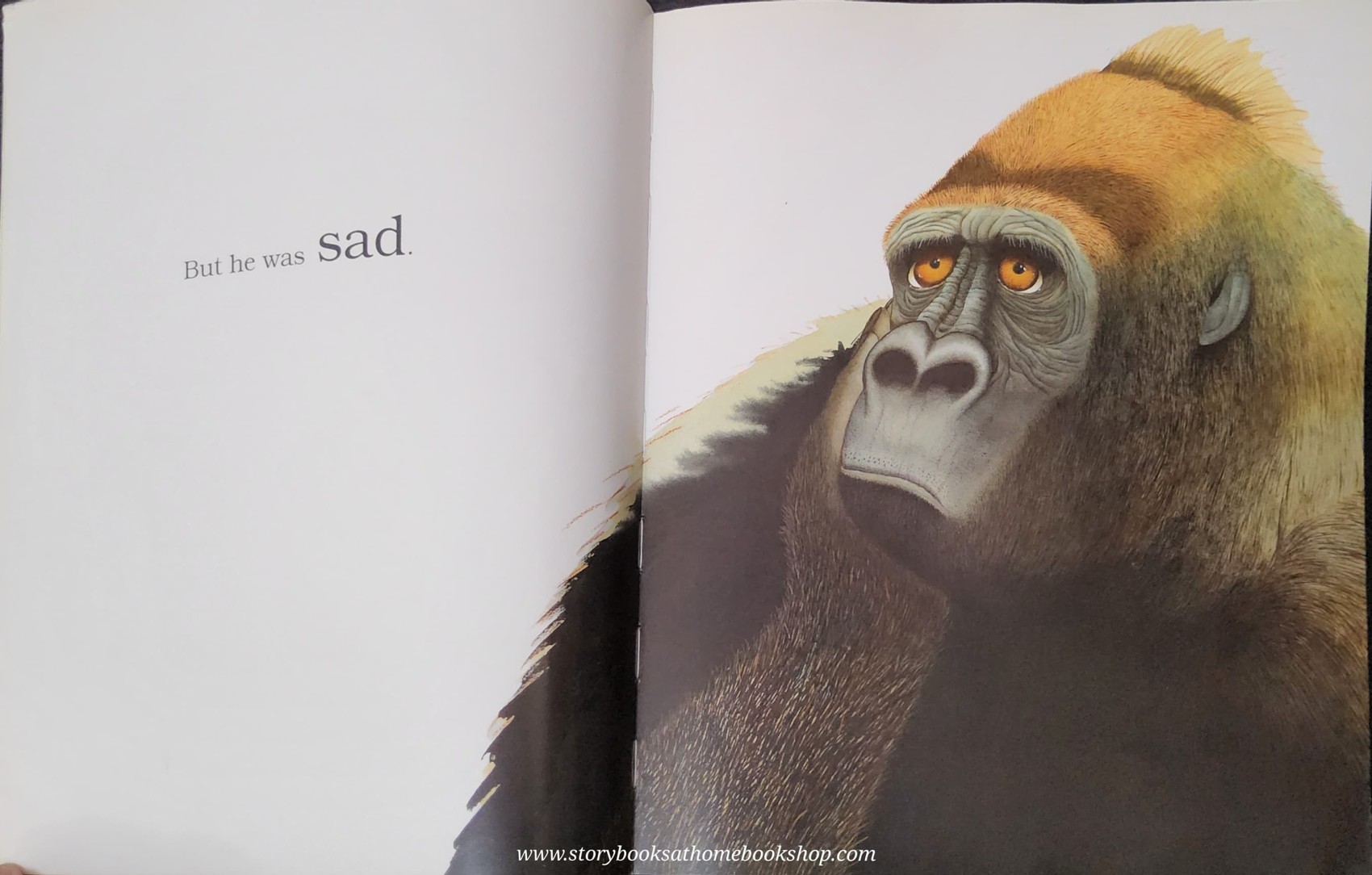 หนังสือนิทานปกอ่อน** 🍅🍓LITTLE BEAUTY BY ANTHONY BROWNE