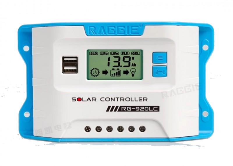 Charger Raggie PWM 12/24v 60A