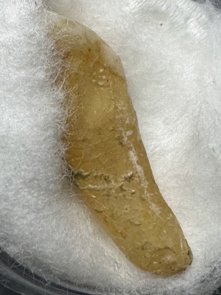 พระทันตธาตุ ครูบาสนอง วัดบ้านส้าน อ.เวียงสา จ.น่าน มาจากคุณปู่เสน่ห์ อายุ 83 ปี อดีตรับราชการครู เป็นครู และเป็น ผ.อ.ในโรงเรียนหลายจังหวัดในภาคเหนือ ปลดเกษียณมาแล้ว 23 ปี (บันทึก 2567) ปัจจุบันนี้ปู่เสน่ห์เป็นนักสะสมของเก่าและทำ resort ในจังหวัดแพร่