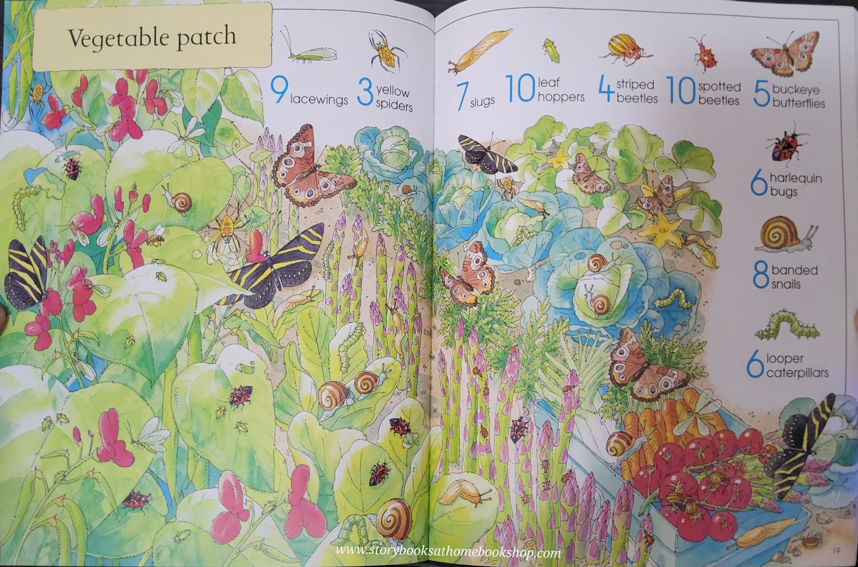 PUZZLE BOOK** ♥️USBORNE 1001 BUGS TO SPOT