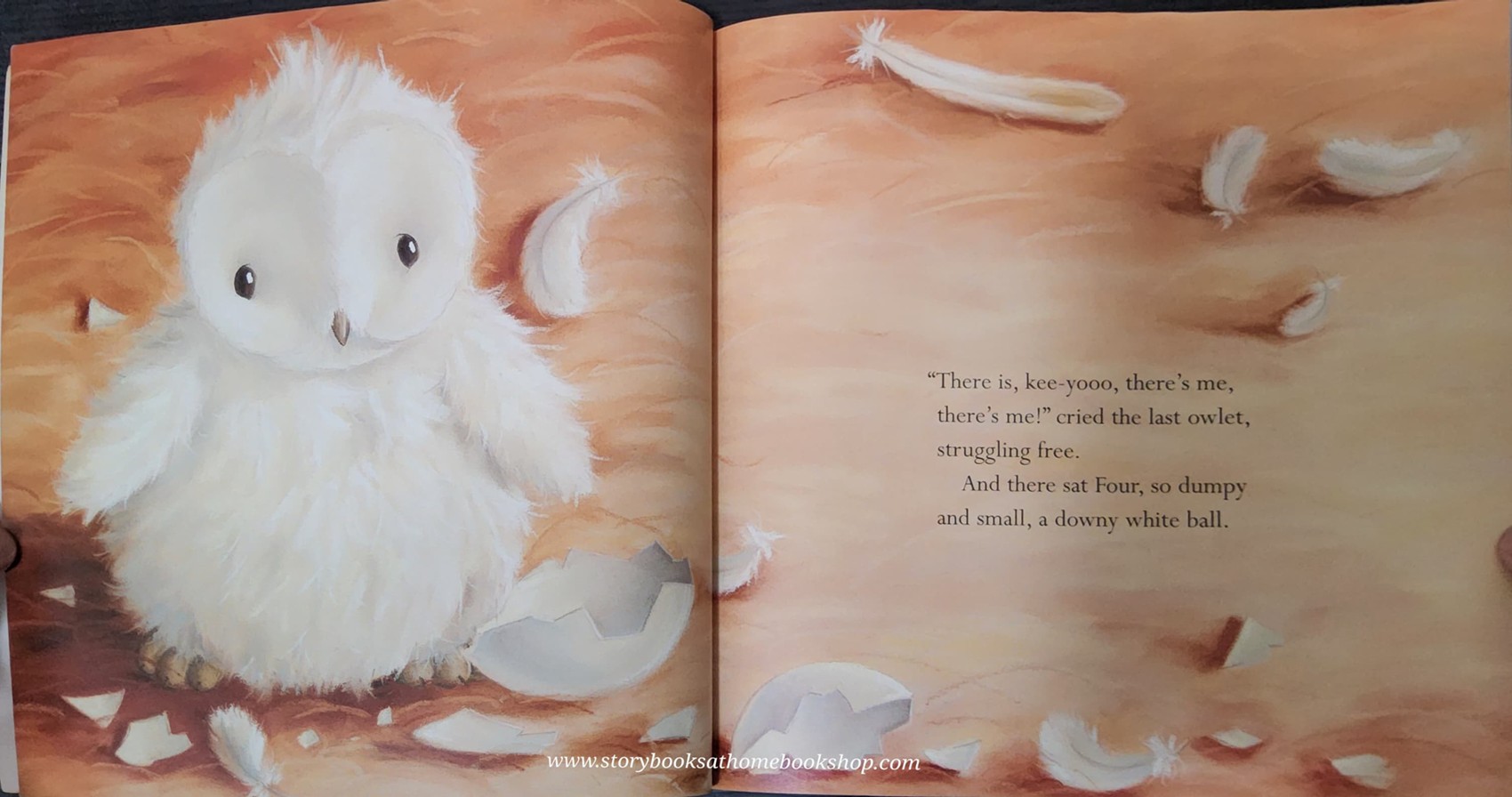 หนังสือนิทานปกอ่อน** 🍅🍅THE LITTLEST OWL BY CAROLINE PITCHER AND TINA MACNAGUHTON